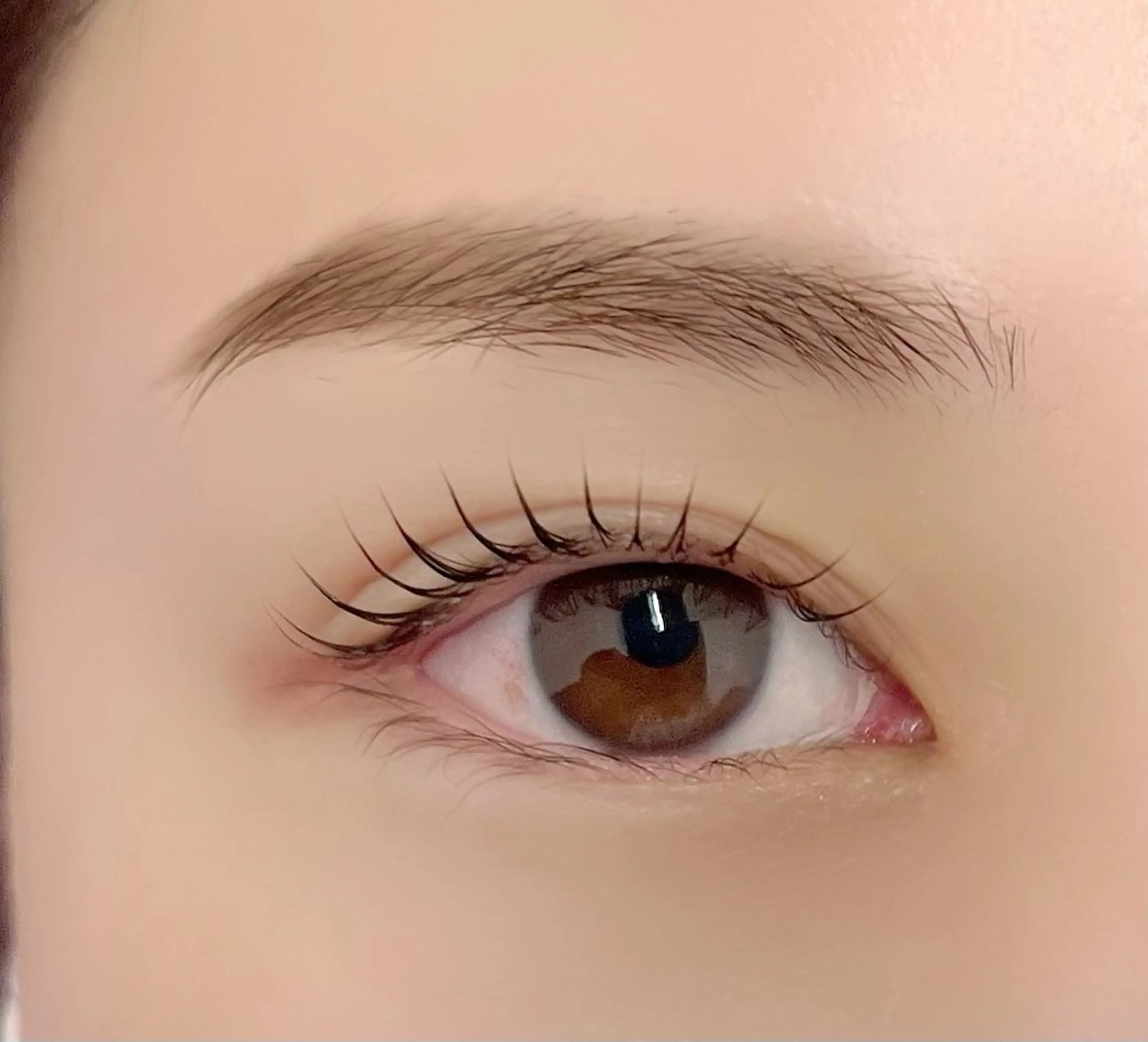 まつ毛パーマ(上)の写真