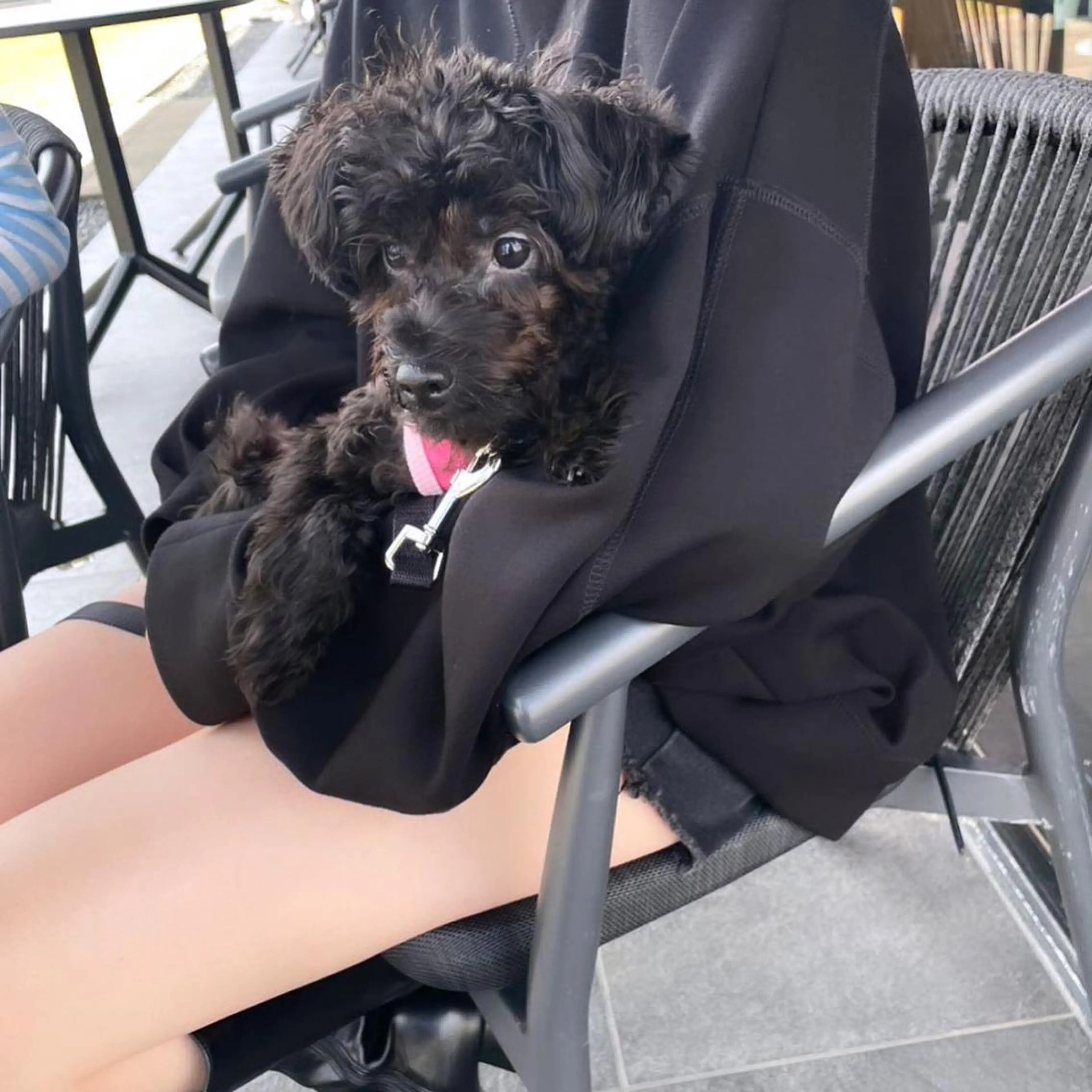 ミディアム カラー パーマ ヘアアレンジ メンズ 🩷Eny terrace🩷のヘアスタイル