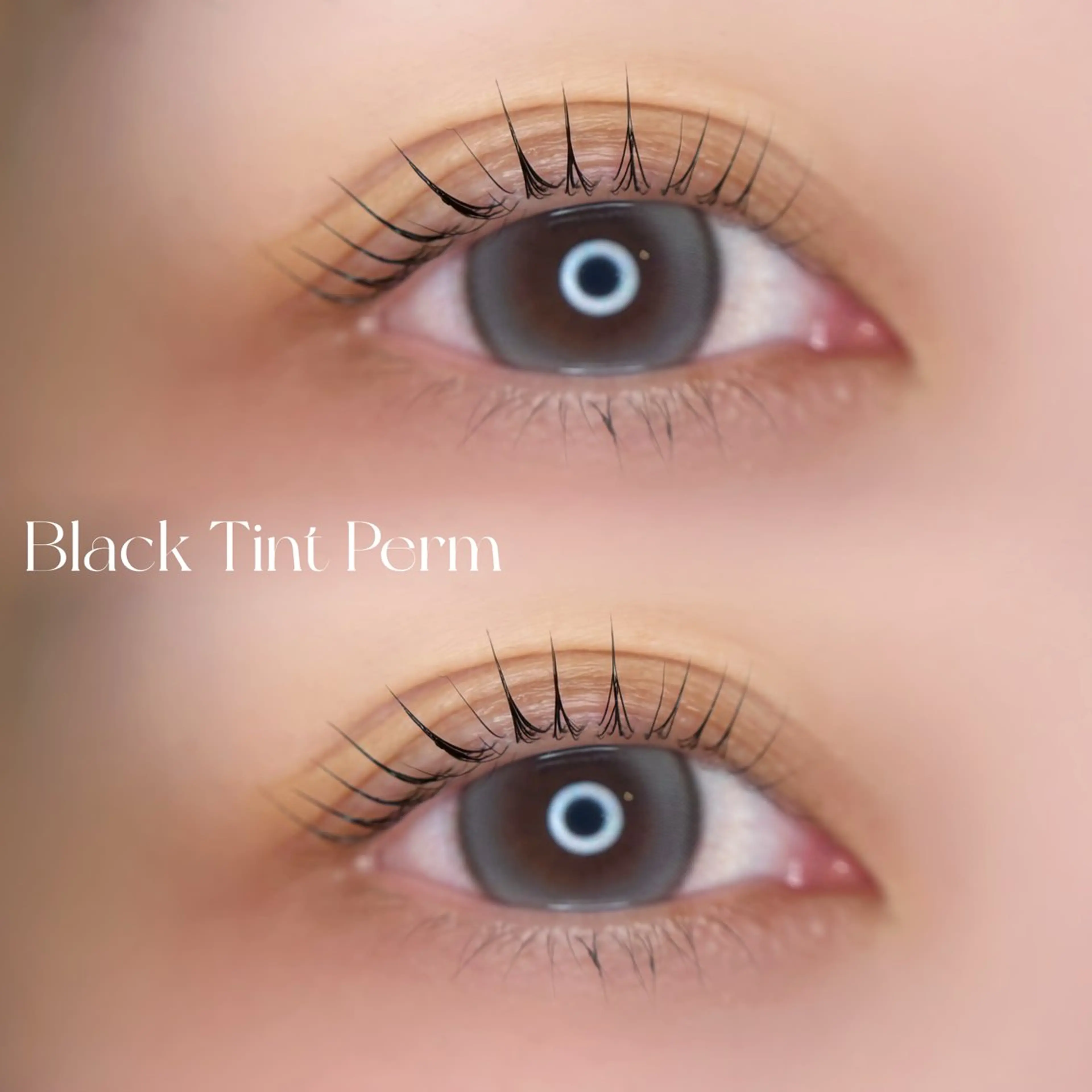 マツエク・マツパ マツパ 🎀MaaZlash NANA🎀のマツエク・マツパデザイン