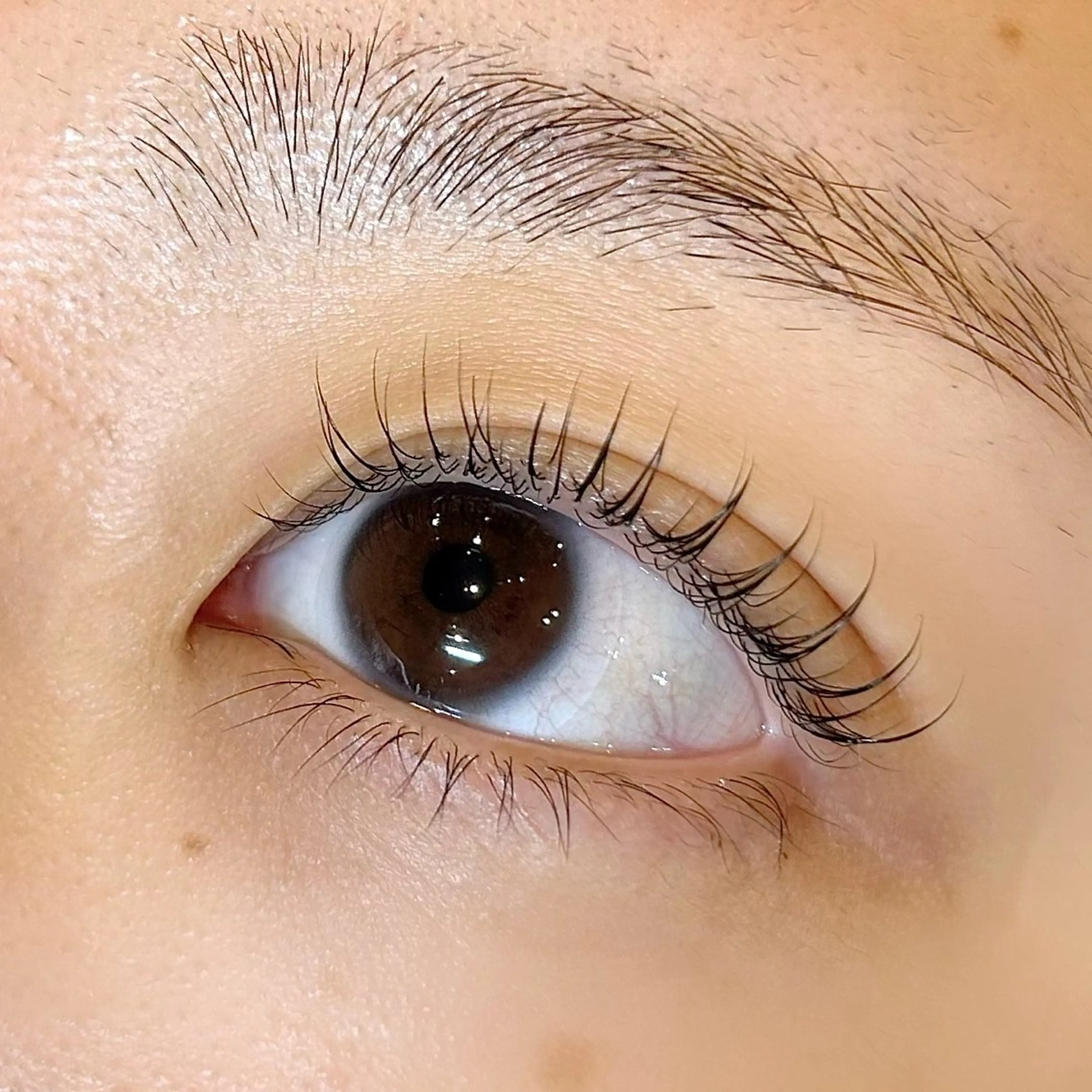 マツエク・マツパ デイジーラッシュ京橋 徳永のマツエク・マツパデザイン