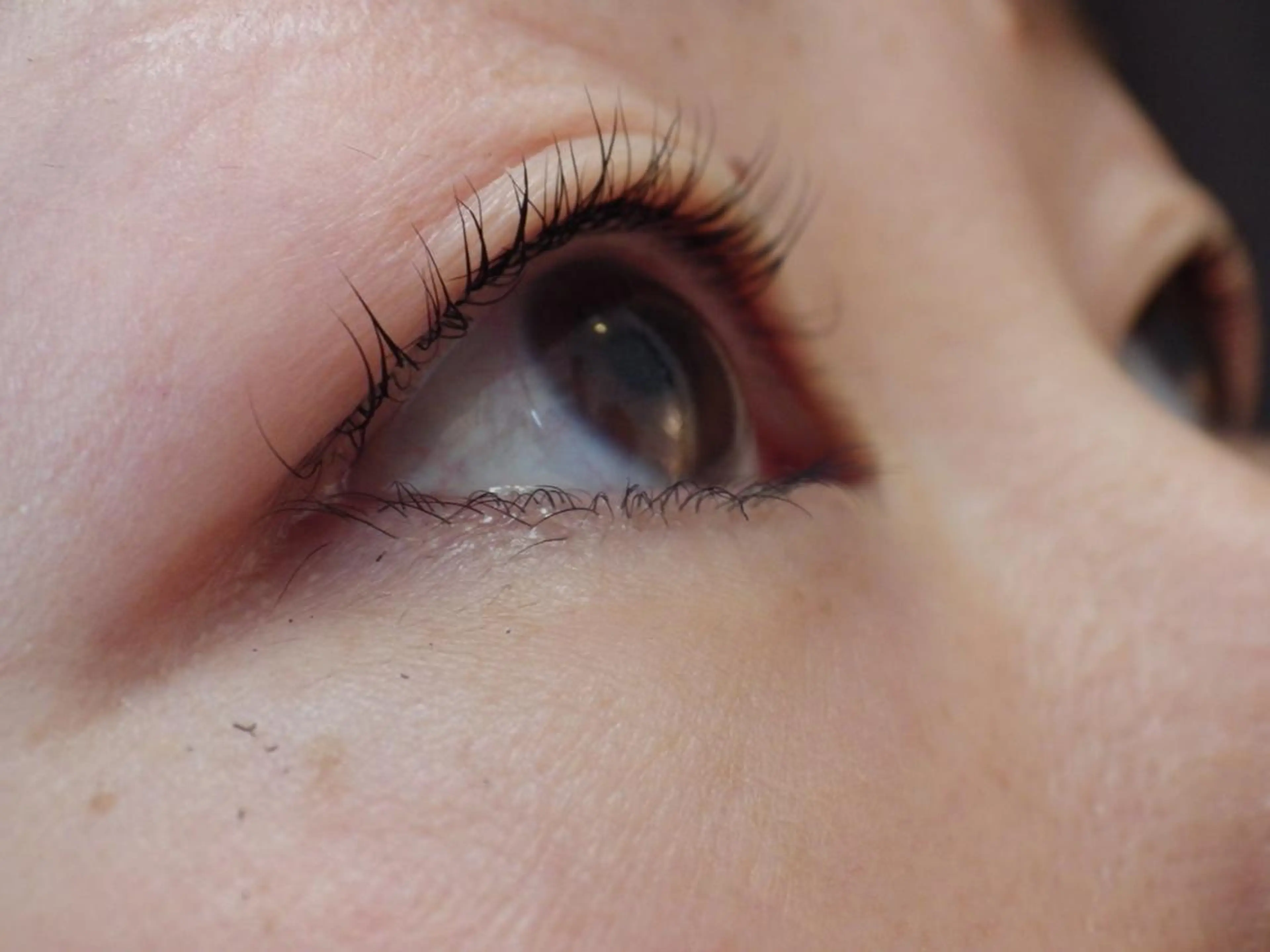 マツエク・マツパ ロイヤル•セラピスト 【Tabata】のマツエク・マツパデザイン