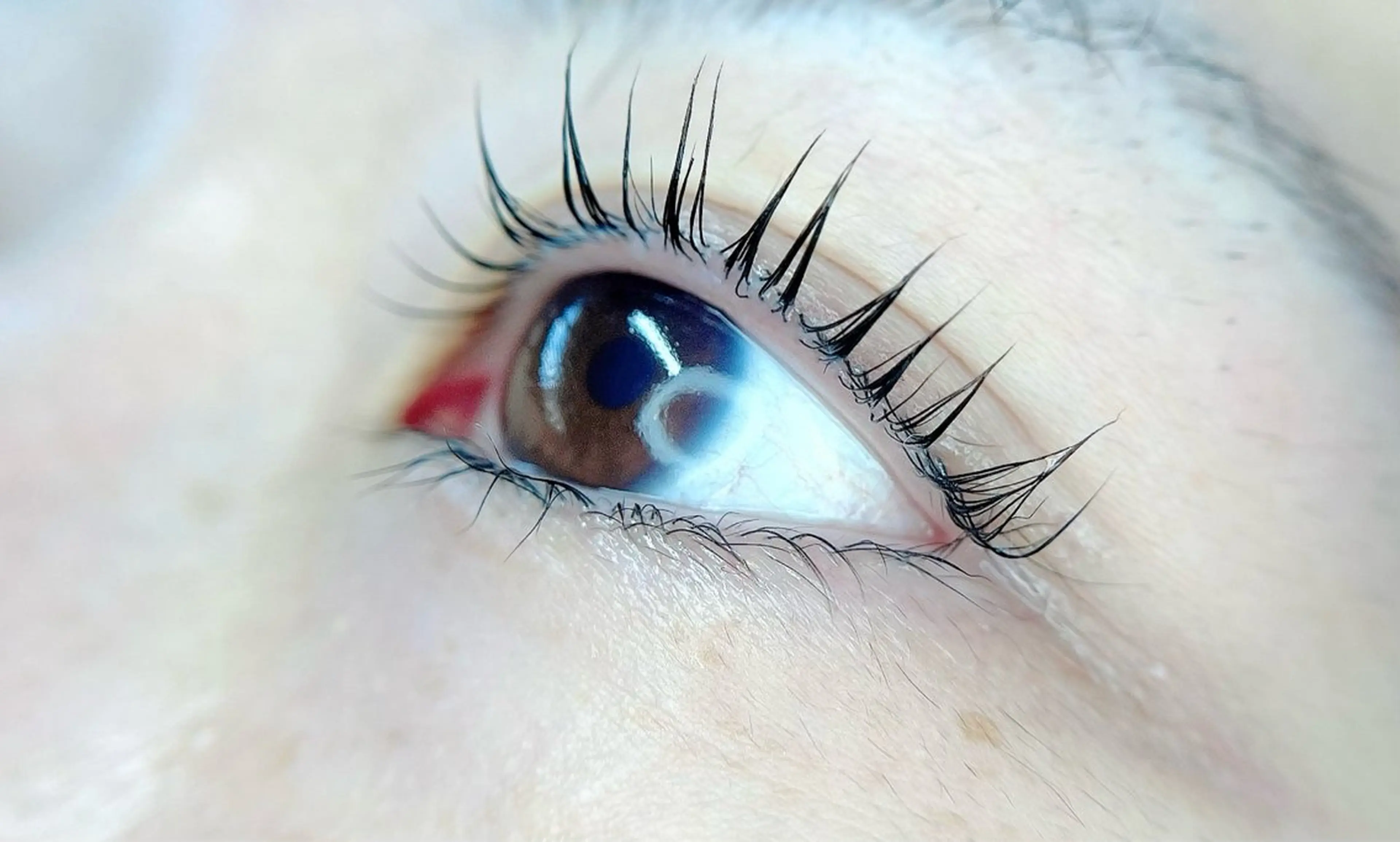 マツエク・マツパ katayama Tomomiのヘアスタイル