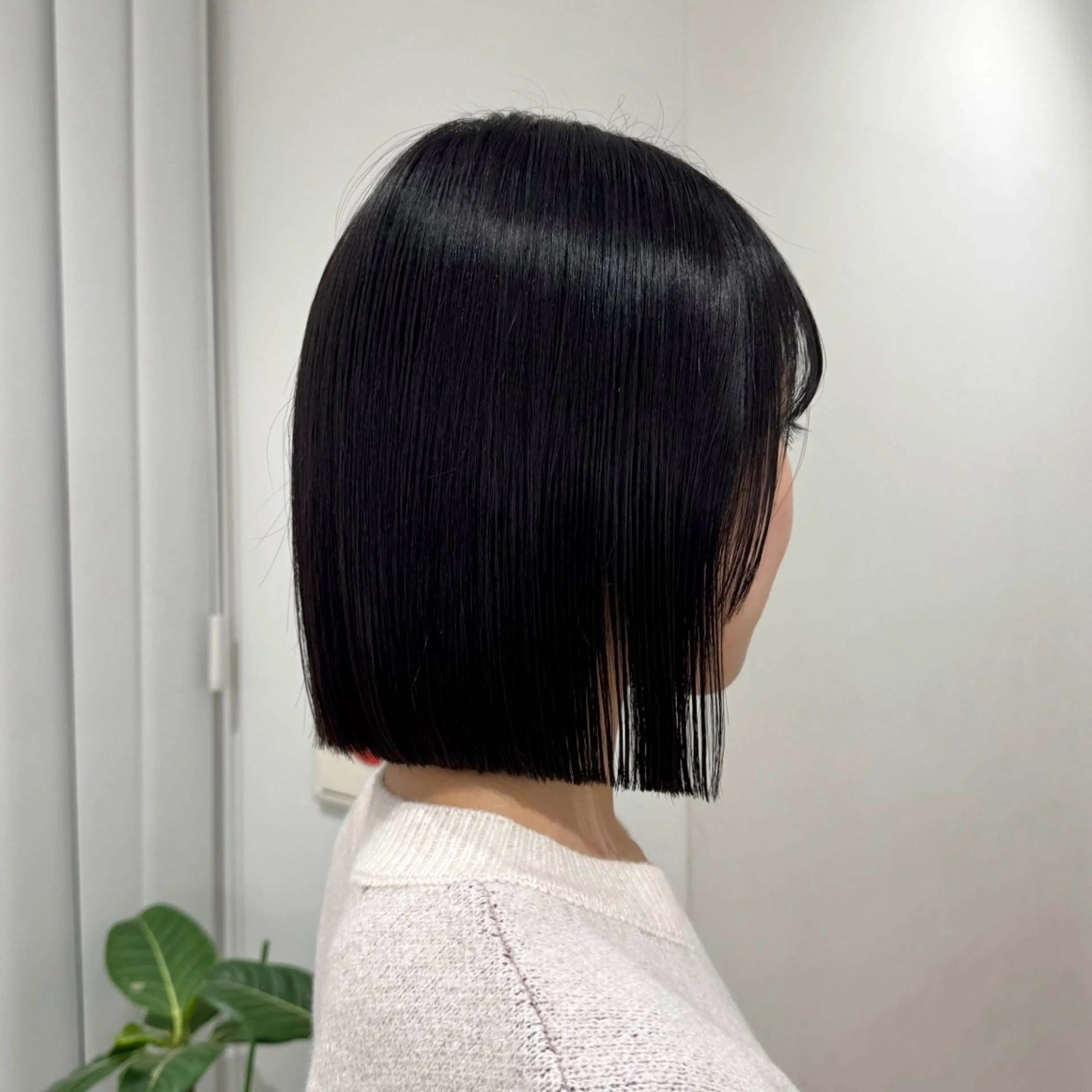 .*˚🌱 4月限定価格 🌱⟡.* カット + 髪質改善トリートメントの写真