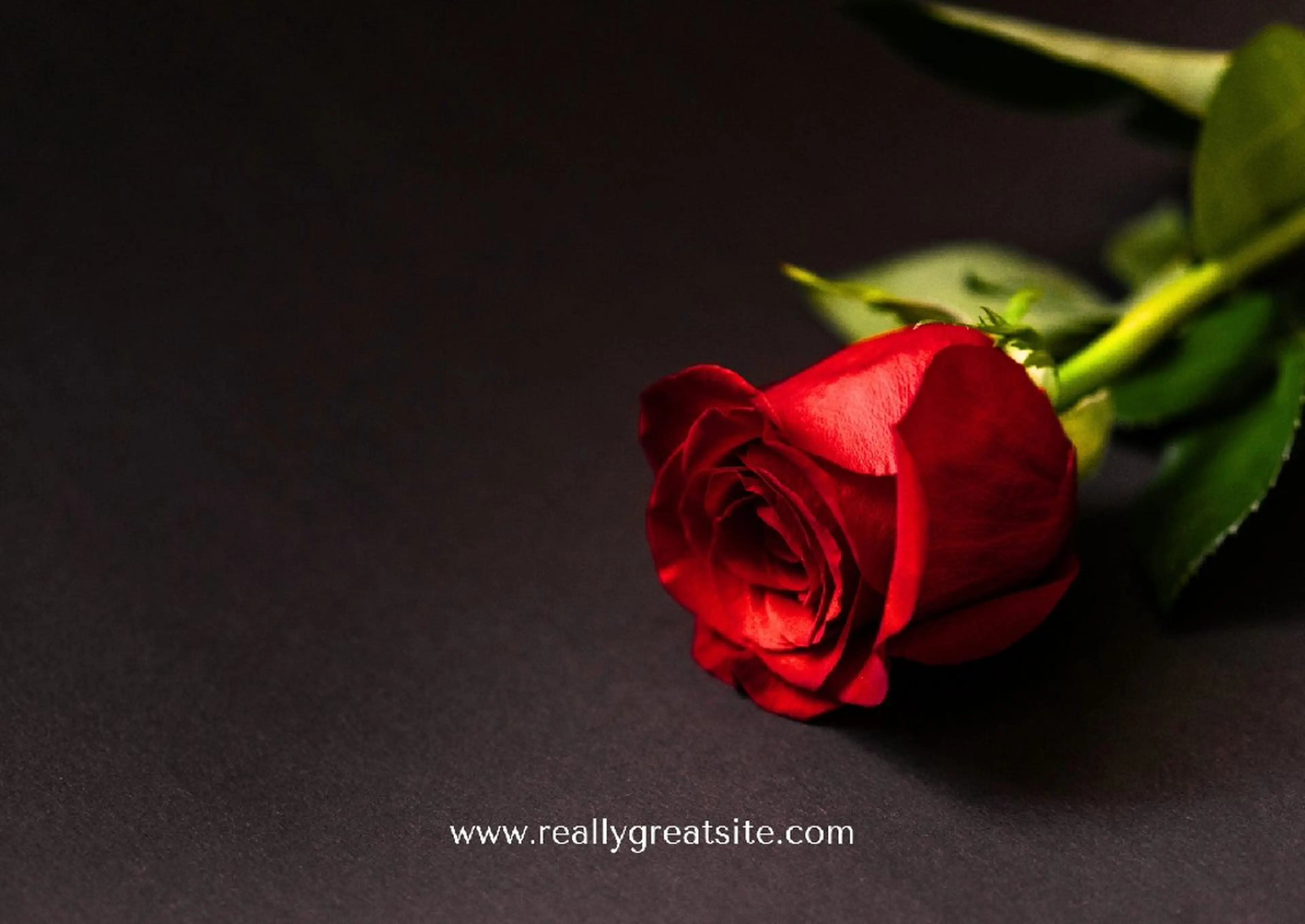 未来系Spot Beauty Salon BRI所属・✨Esthetic✨ Salon✨BRI✨のエステ・リラクイメージ