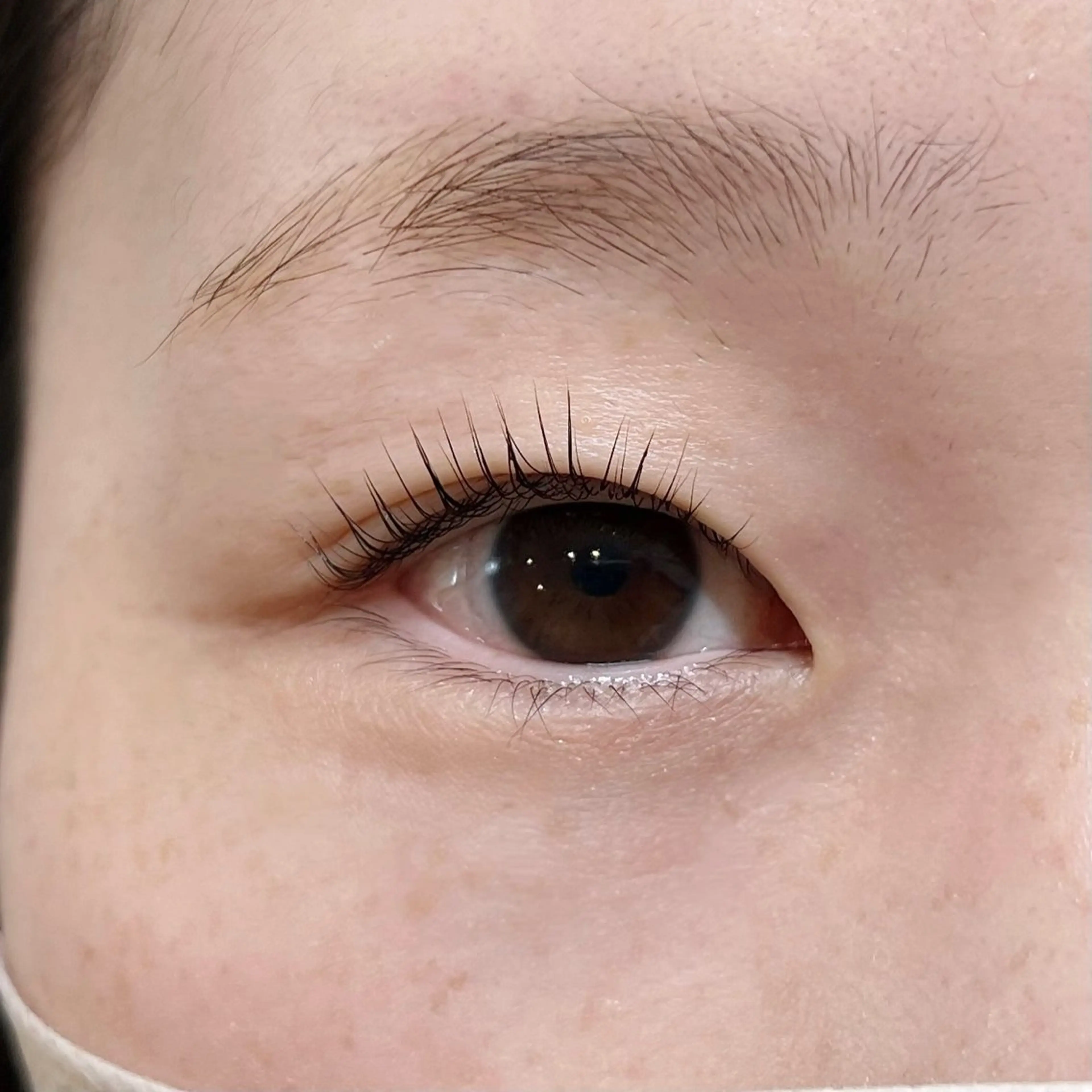 マツエク・マツパ Lカール kaho / u.のマツエク・マツパデザイン