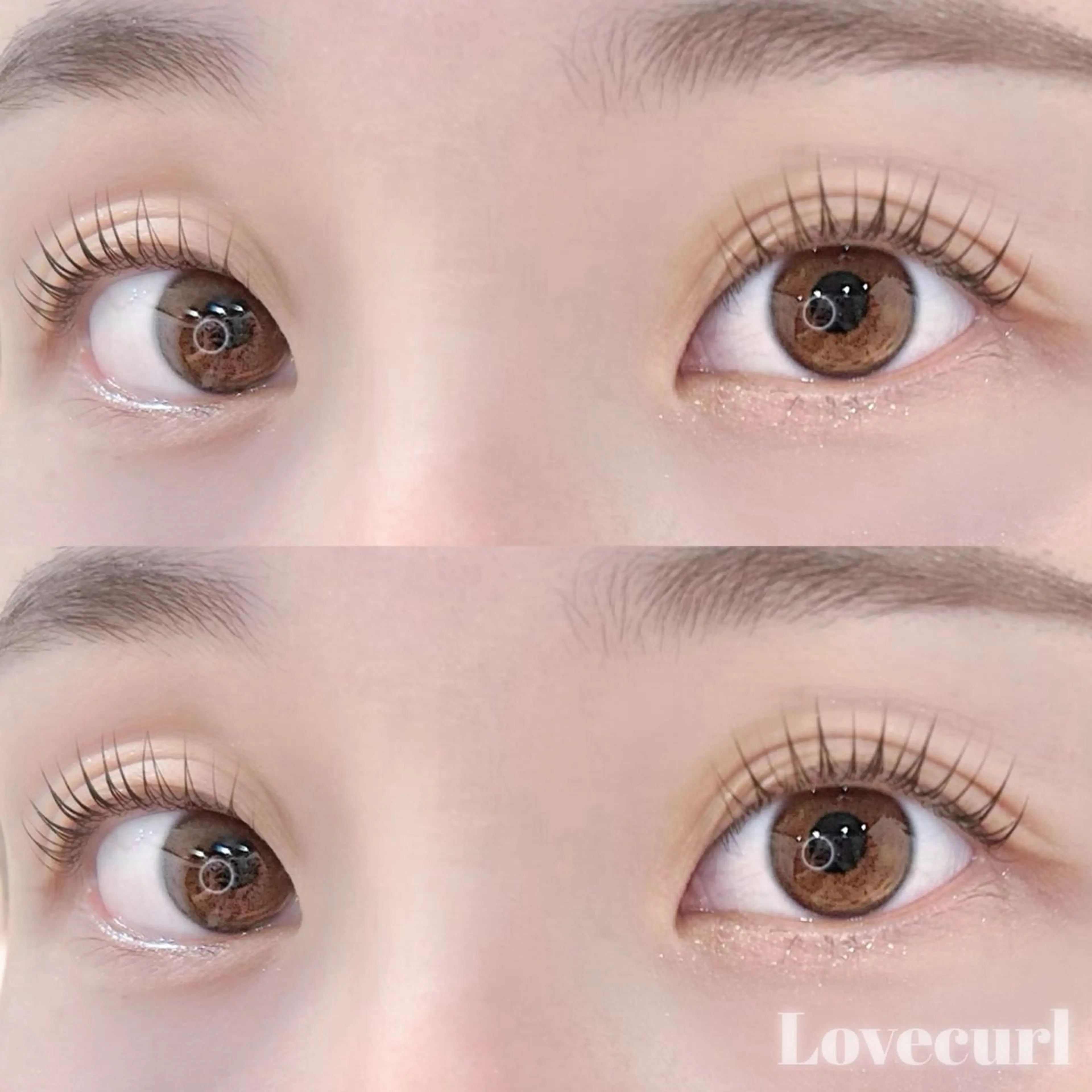 🌻パリジェンヌラッシュリフト🌻の写真