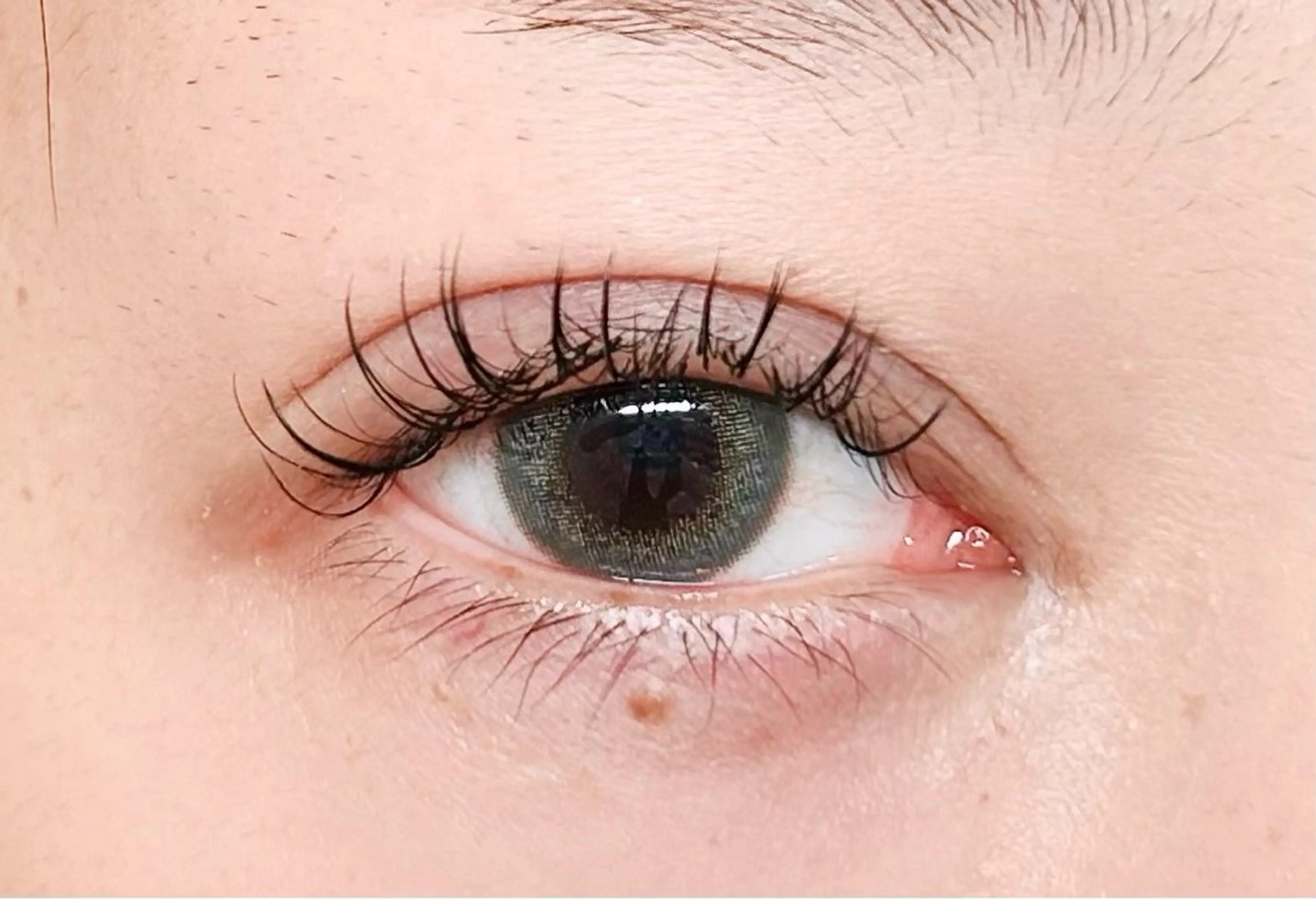 🦋LEDエクステ両目80本🦋の写真