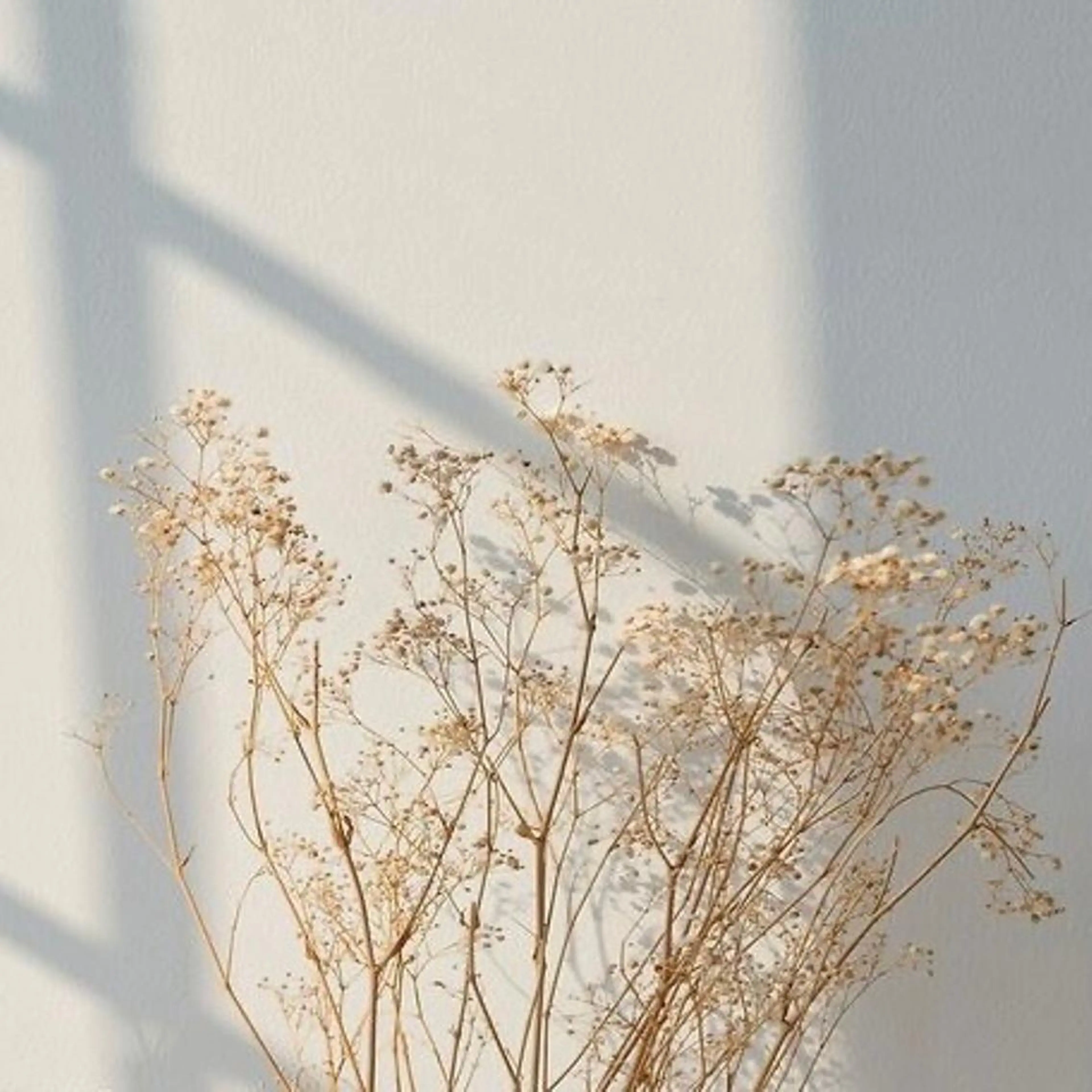 マツエク・マツパ MOE /渋谷・明治神宮前のマツエク・マツパデザイン