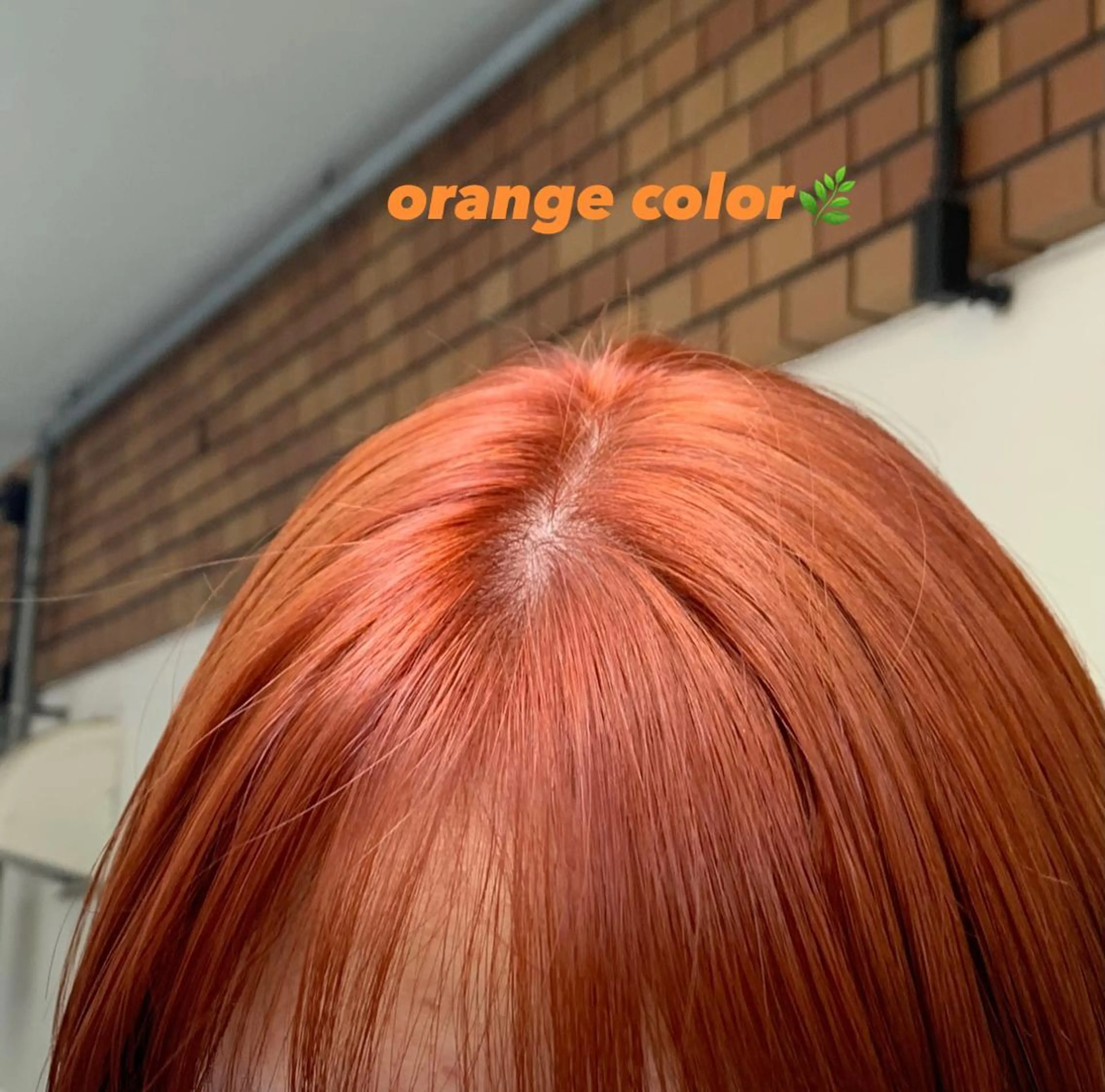 ショート カラー stylist店長 岡本真依のヘアスタイル