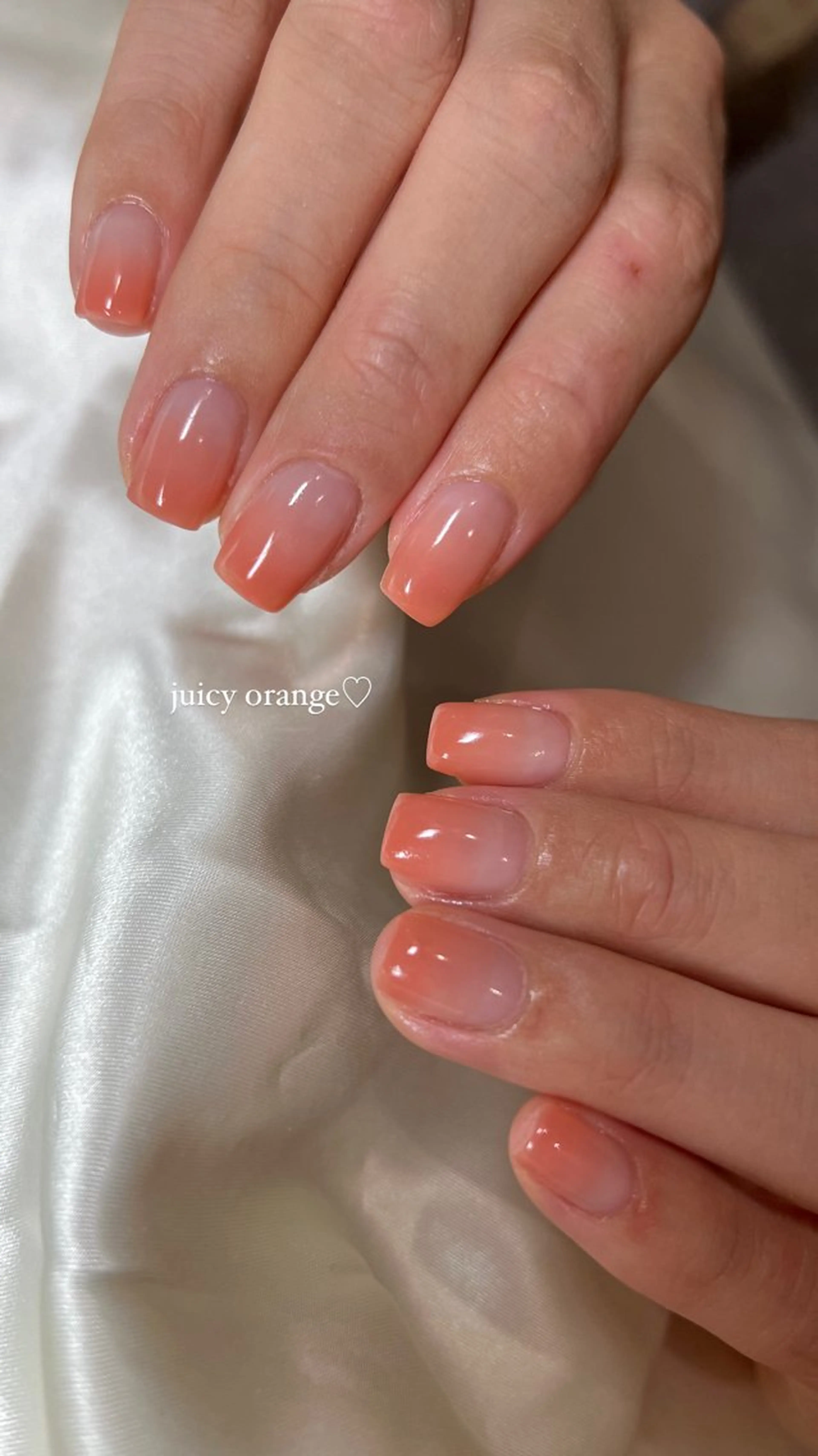 フィルインオフ⪩⪨꙳⋆グラデーションの写真