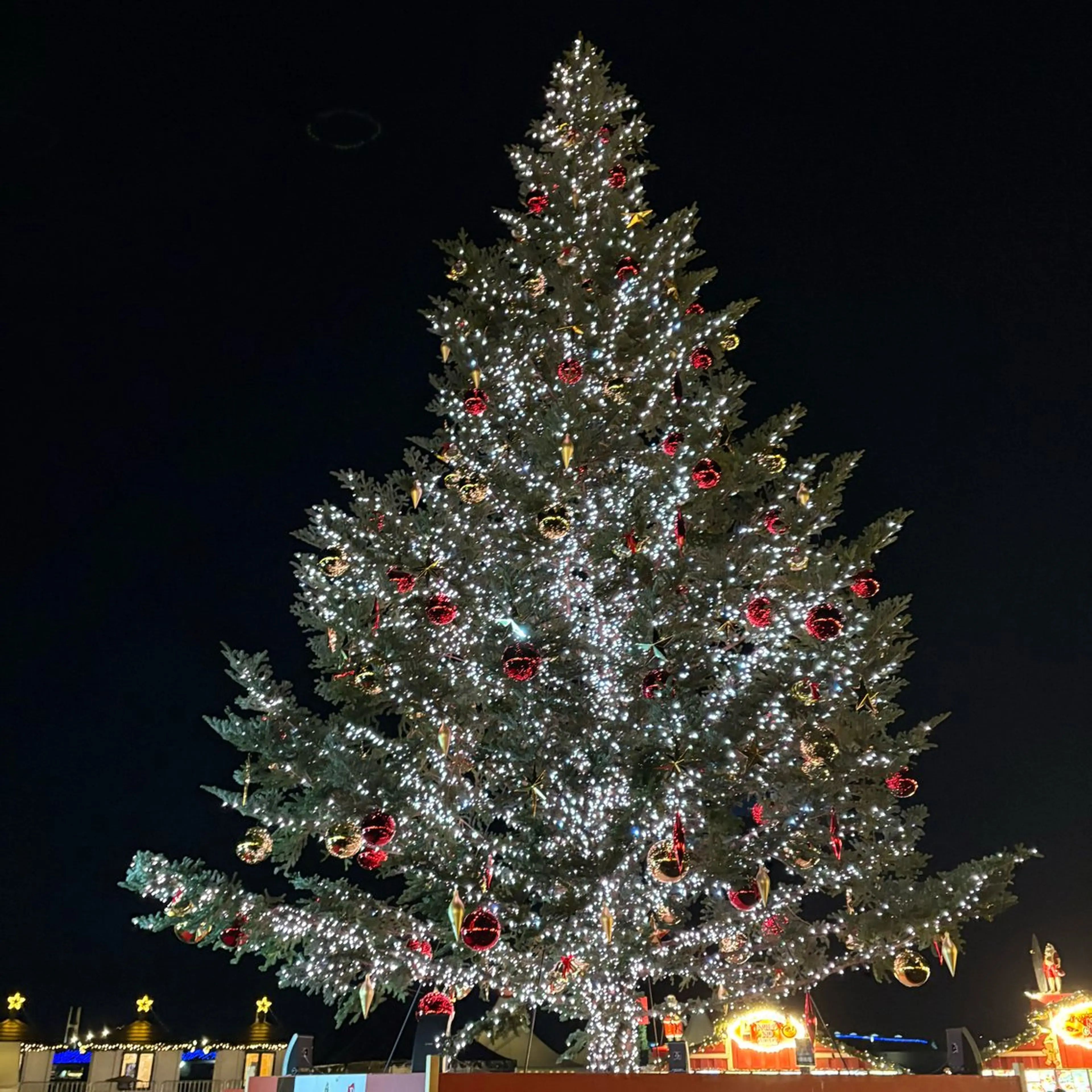 Yu-ka🌼*･ カラー縮毛矯正❣️のヘアスタイル