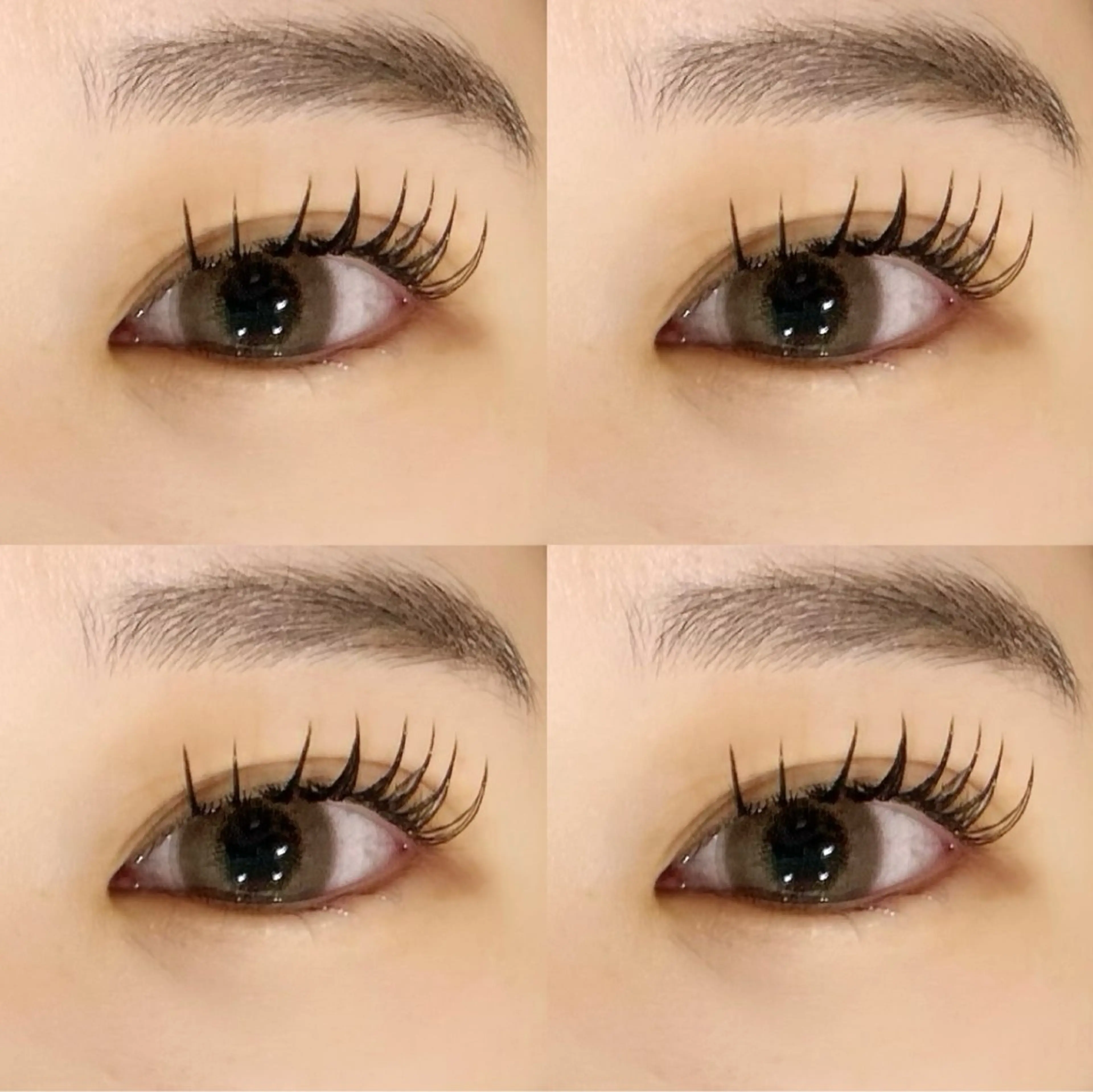 【ミニモ限定】 ✳︎フラットラッシュ✳︎120本🌼の写真