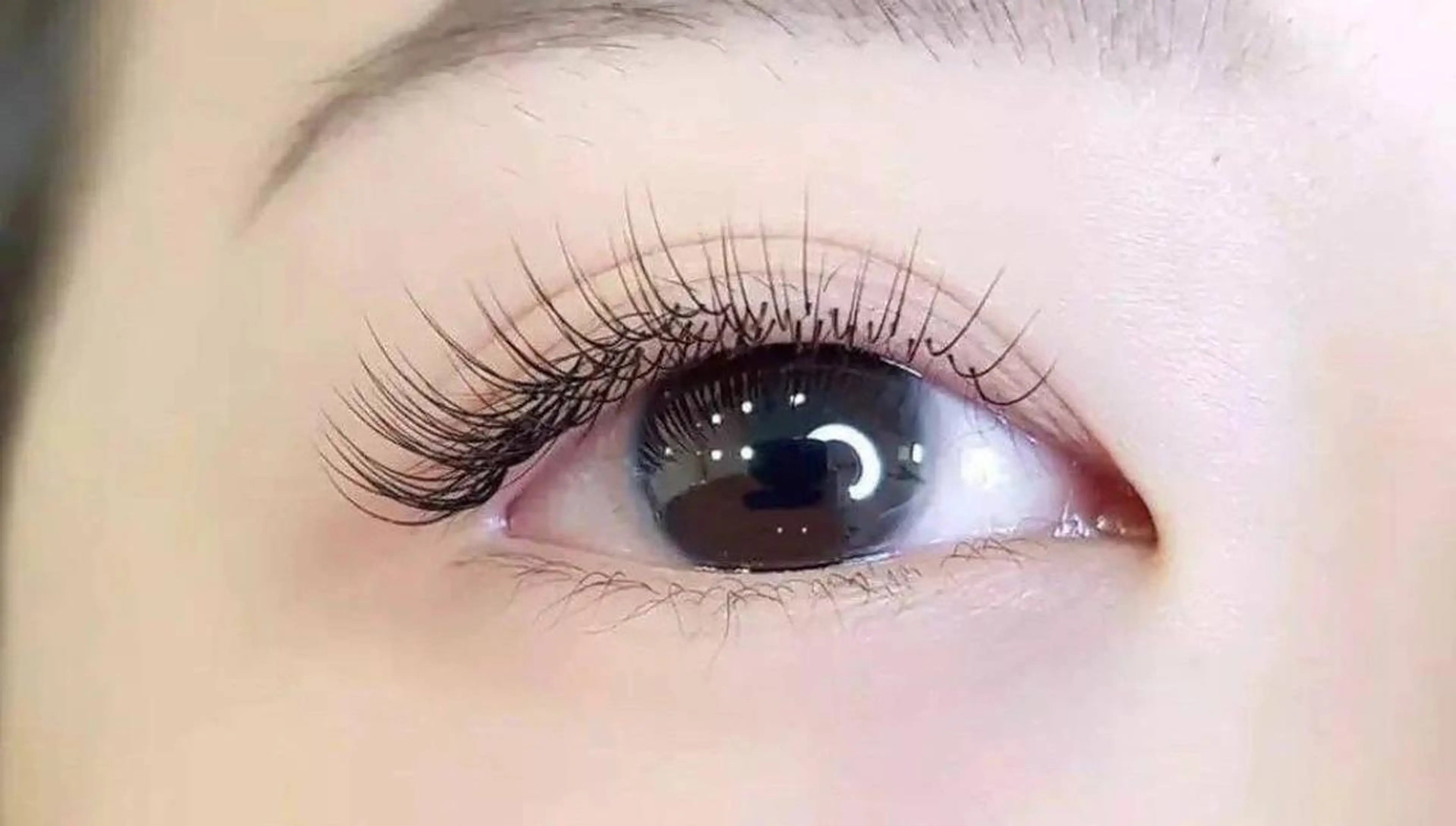 【再来】フラットラッシュ100本　【オフ+600】の写真