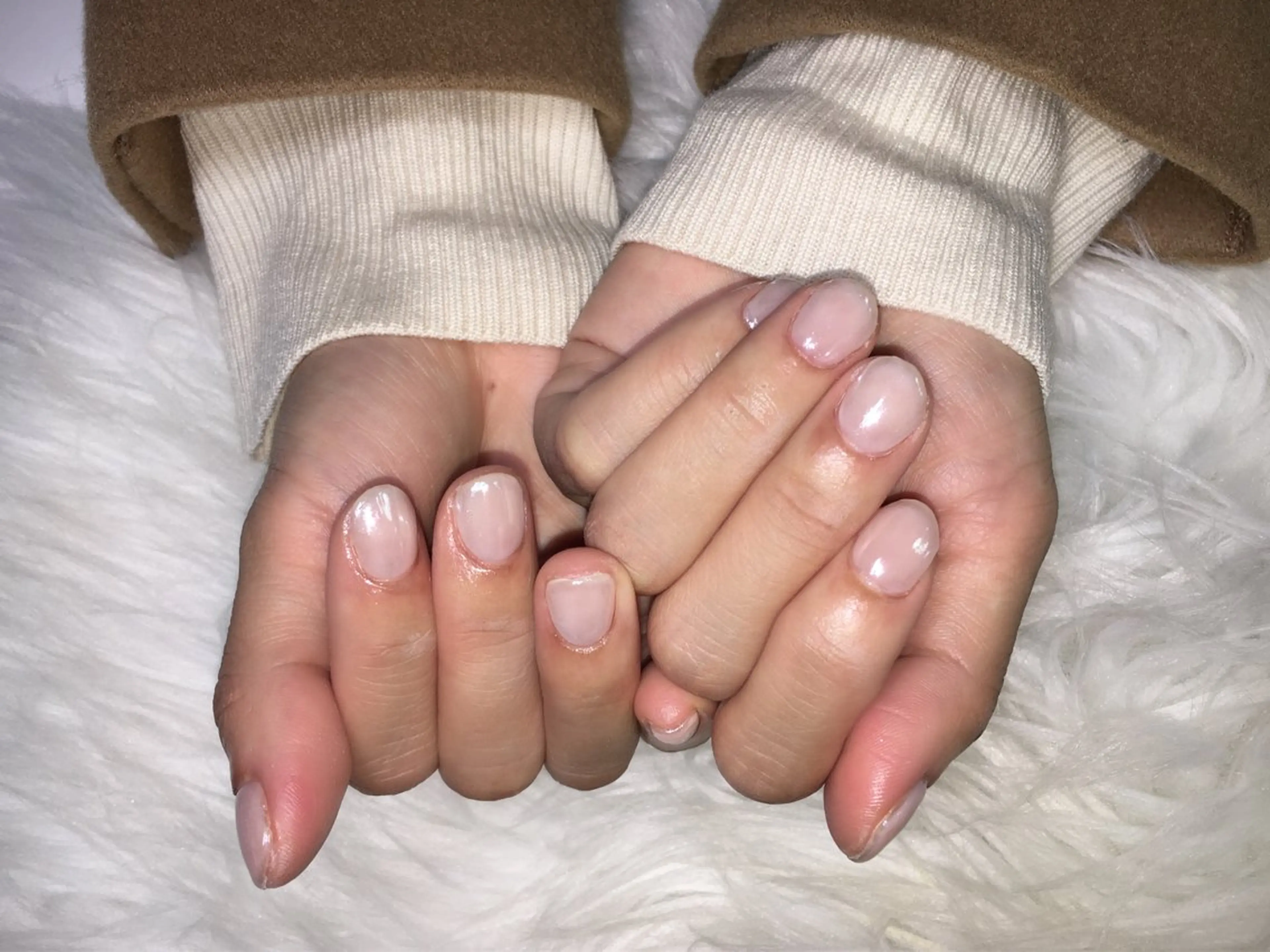 ワンカラーの写真