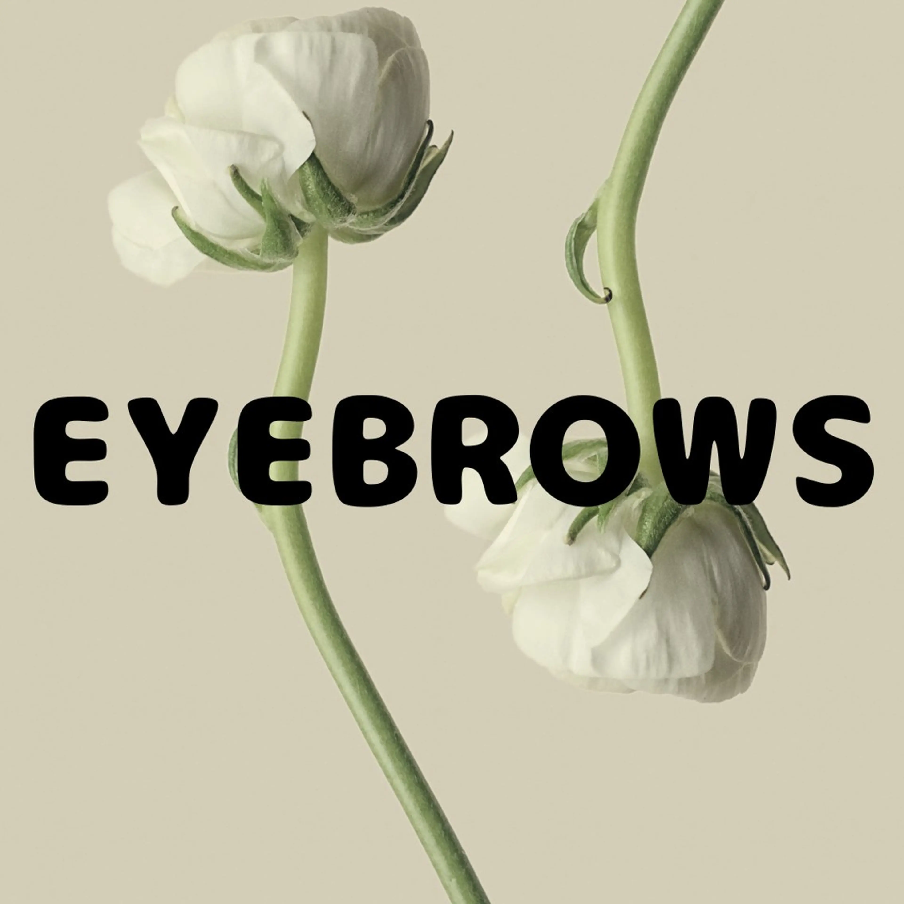 【男女:リピーター様】🪩アイブロウWAX🪩の写真