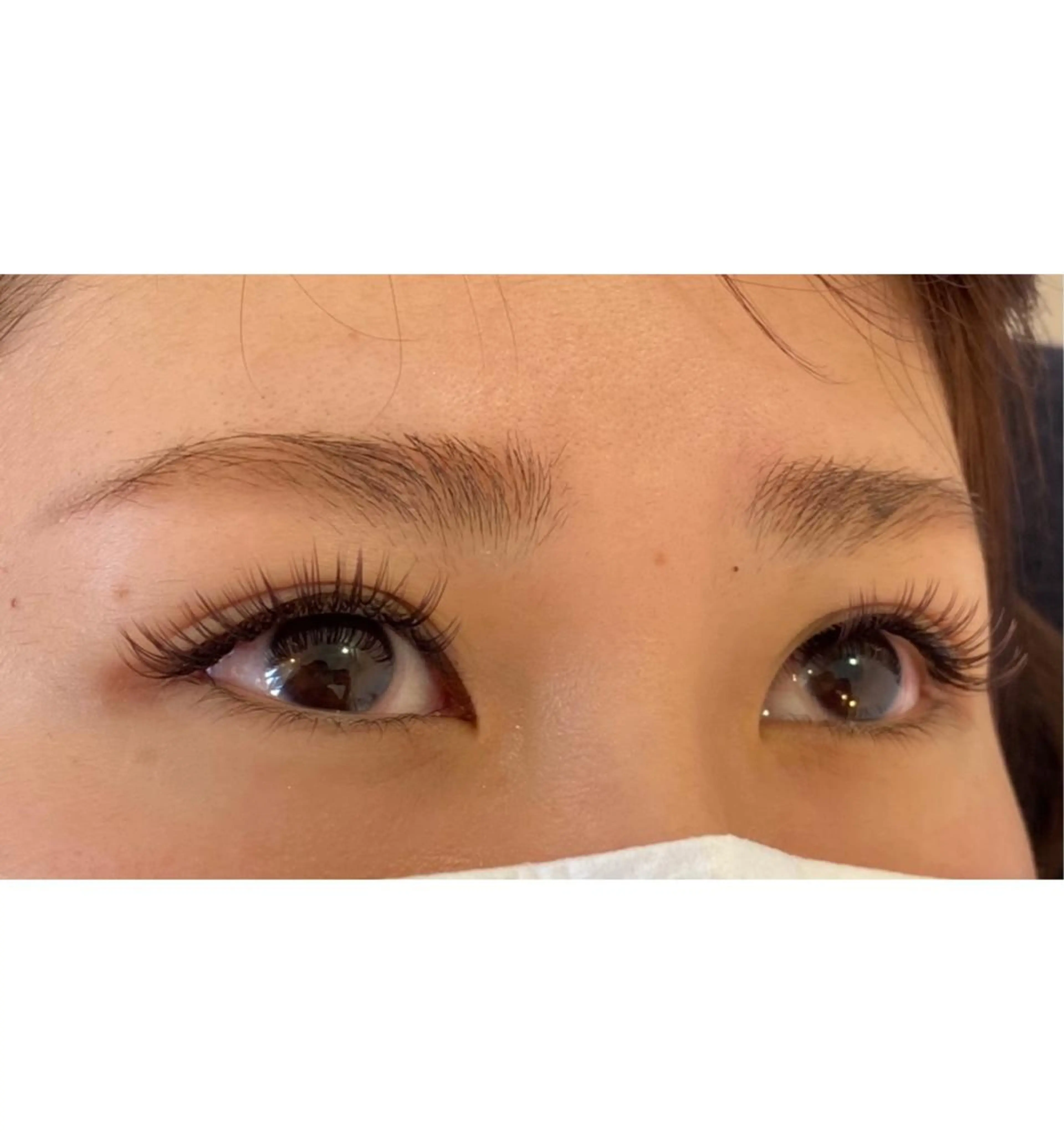 ⭐️2月7日限定価格⭐️バインドロック300本　オフあり可能。他店様のリペアはできません。の写真