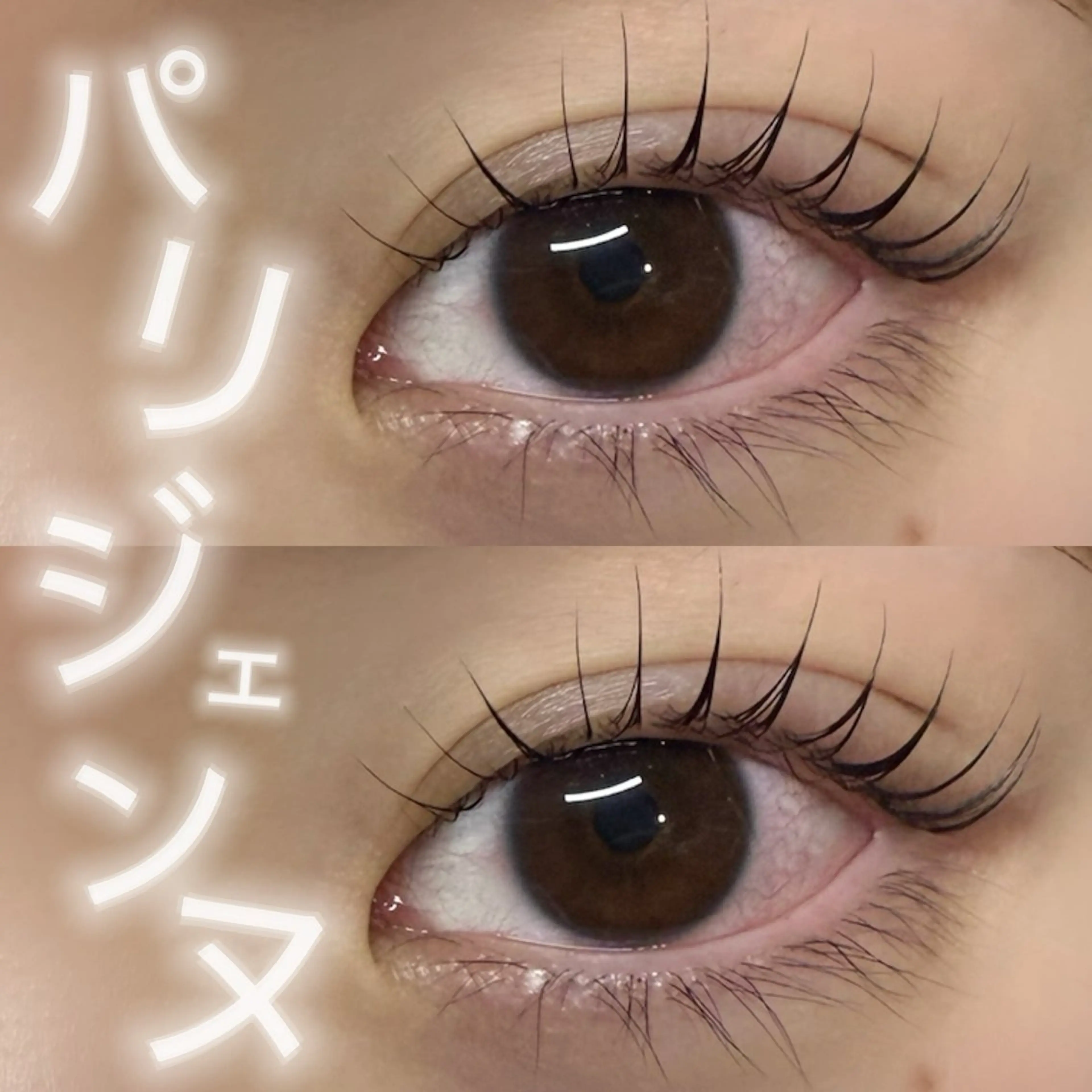 マツエク・マツパ マツパ NOA名駅束感まつげ ×眉毛SENA‪🎀のマツエク・マツパデザイン
