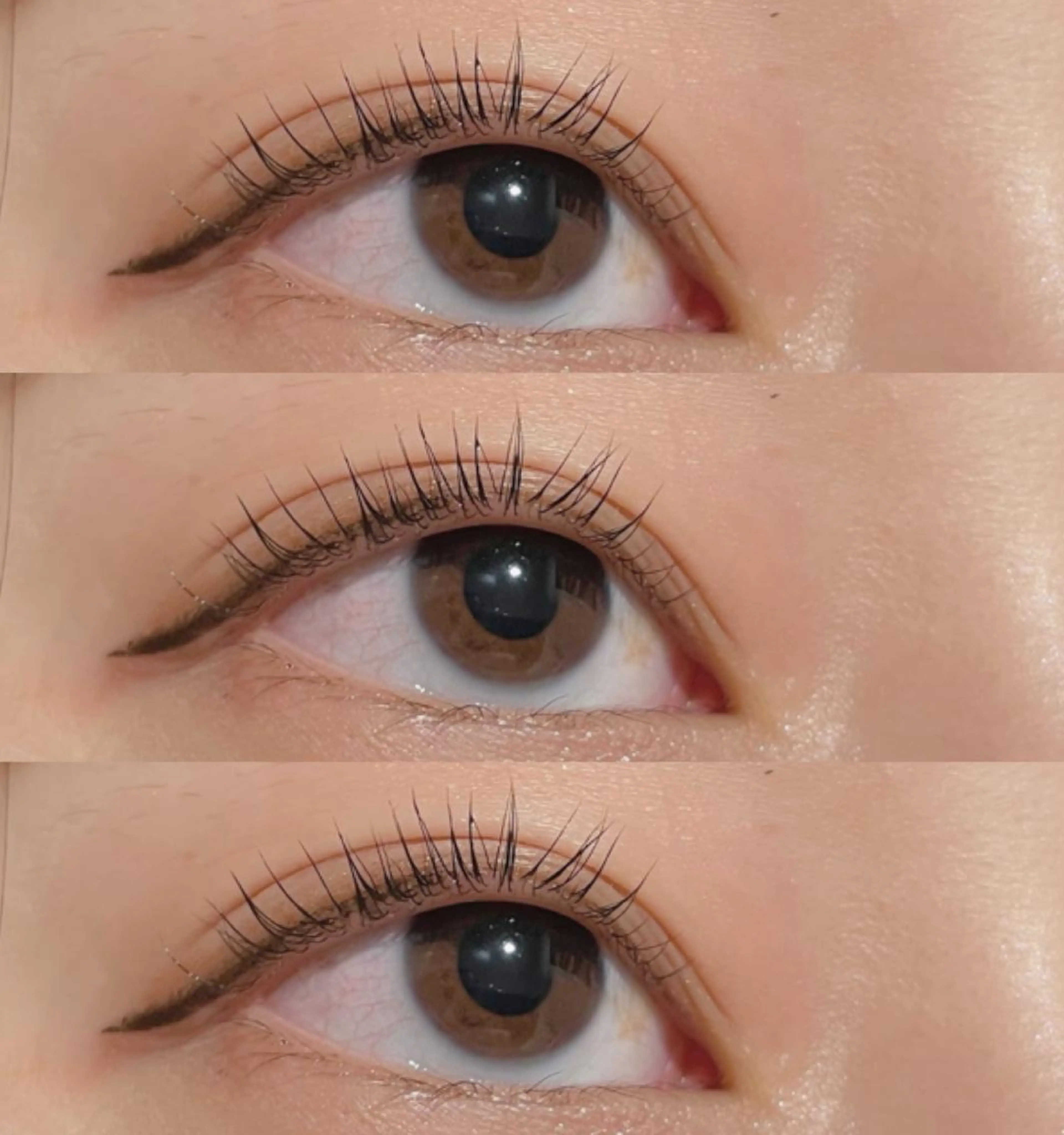 マツエク・マツパ パリジェンヌラッシュリフト ♡ usaginooのマツエク・マツパデザイン