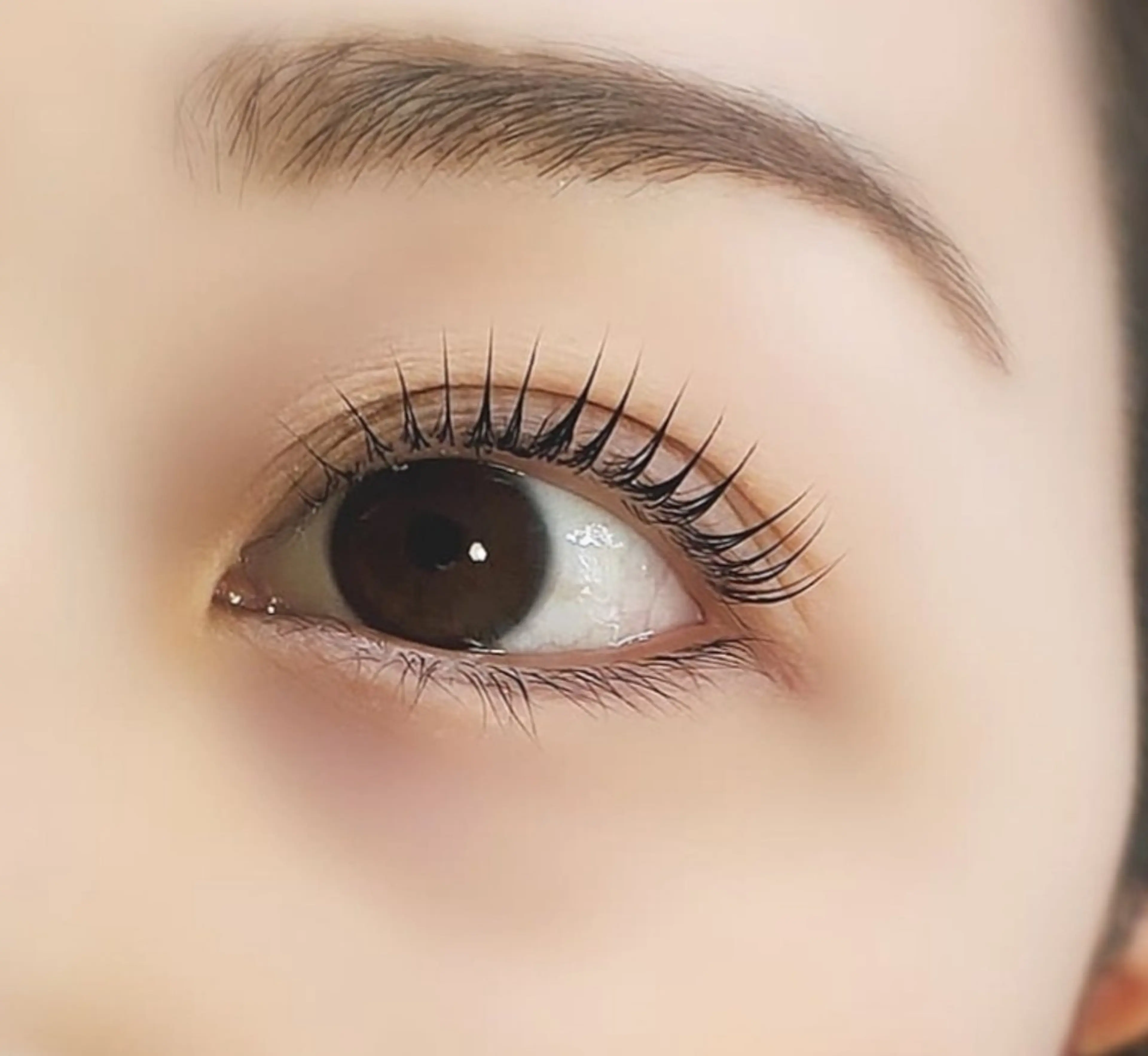 マツエク・マツパ 韓国風マツエク LATTE eyelashのマツエク・マツパデザイン