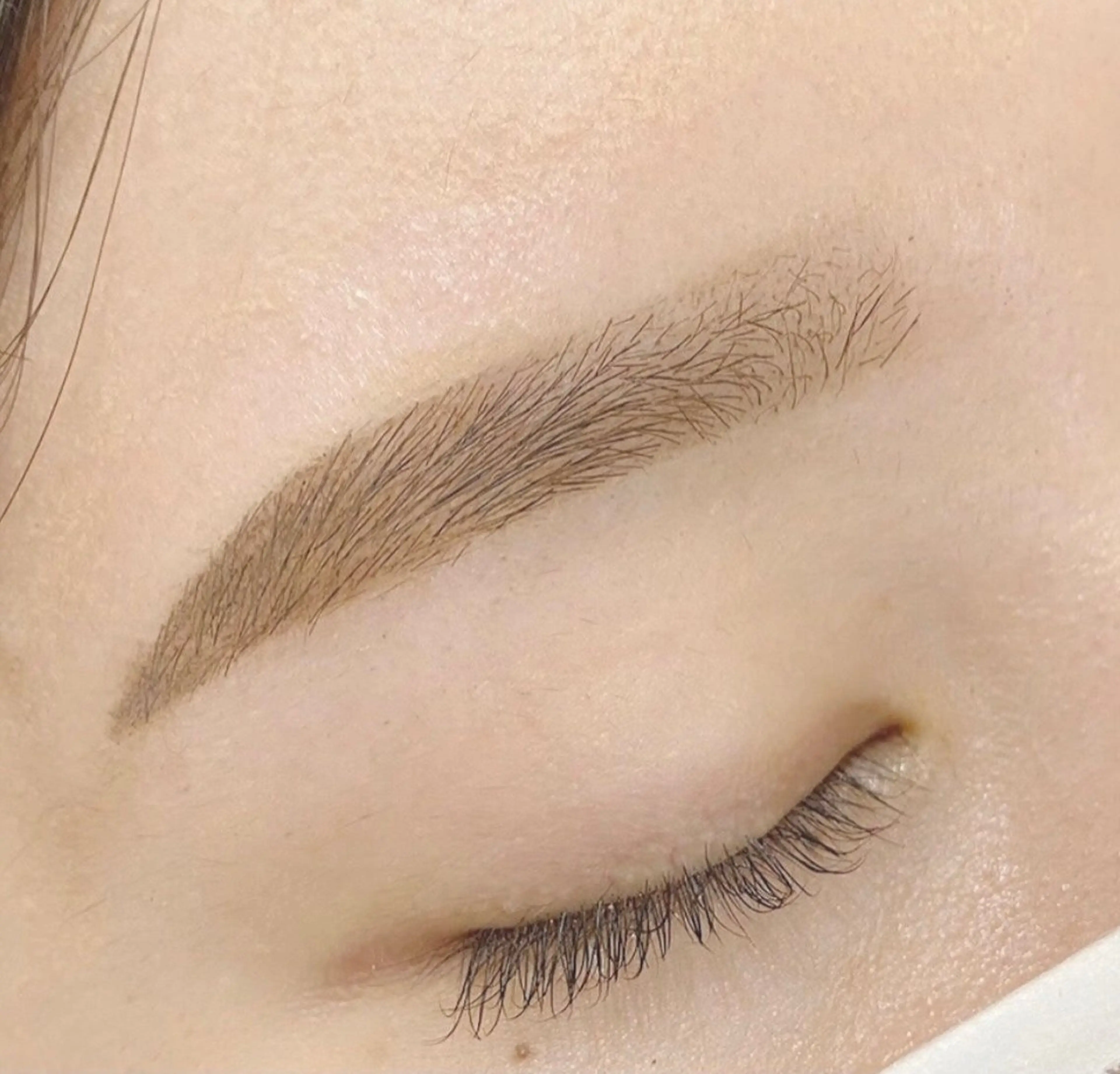 5月7日  14:00​〜​17:00  アイブロウwax無料モデル募集中の写真