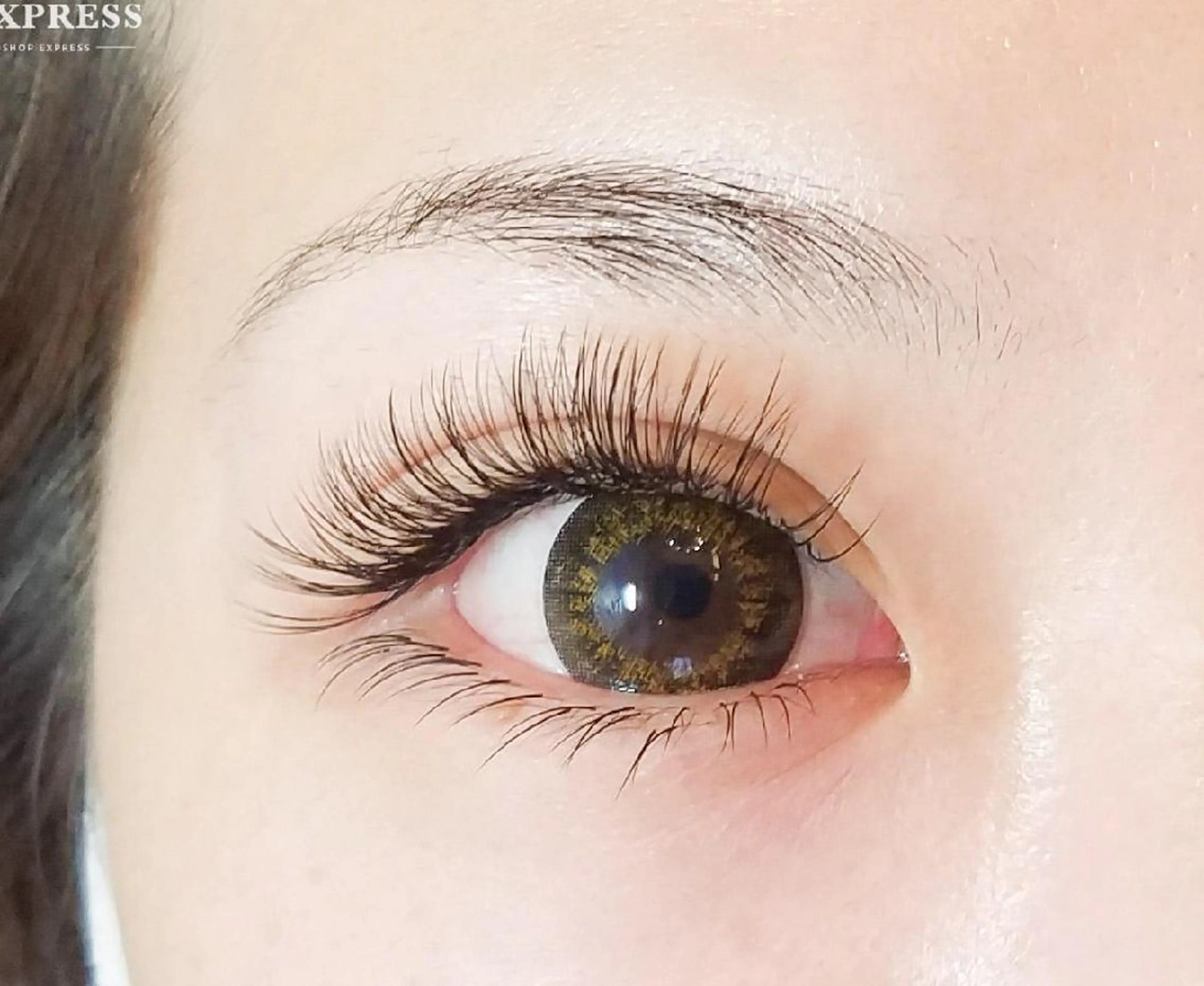 【ご新規様】大人気！！アップワードラッシュ160本の写真