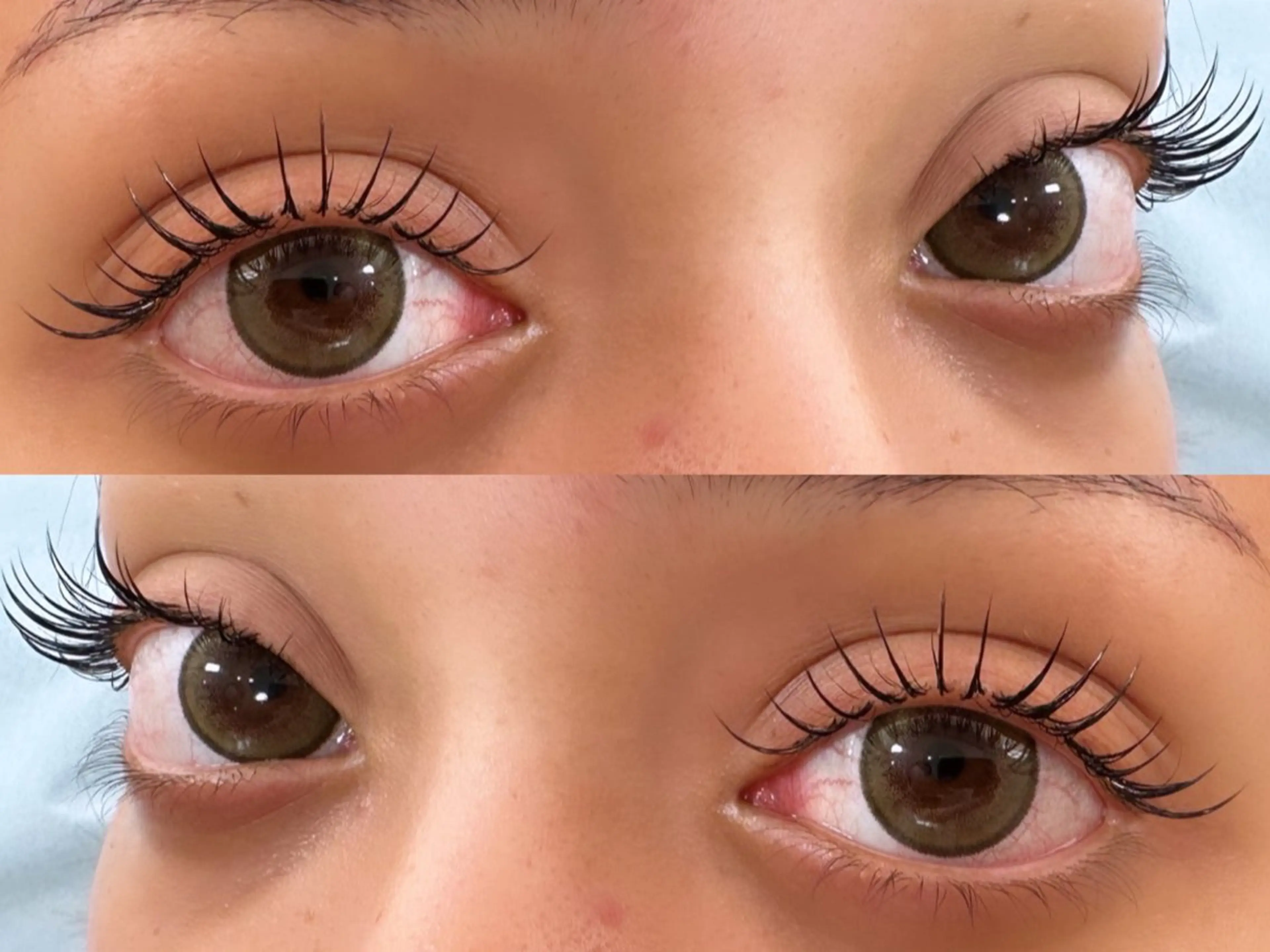 最上質セーブルor最高級ミンク100本の写真