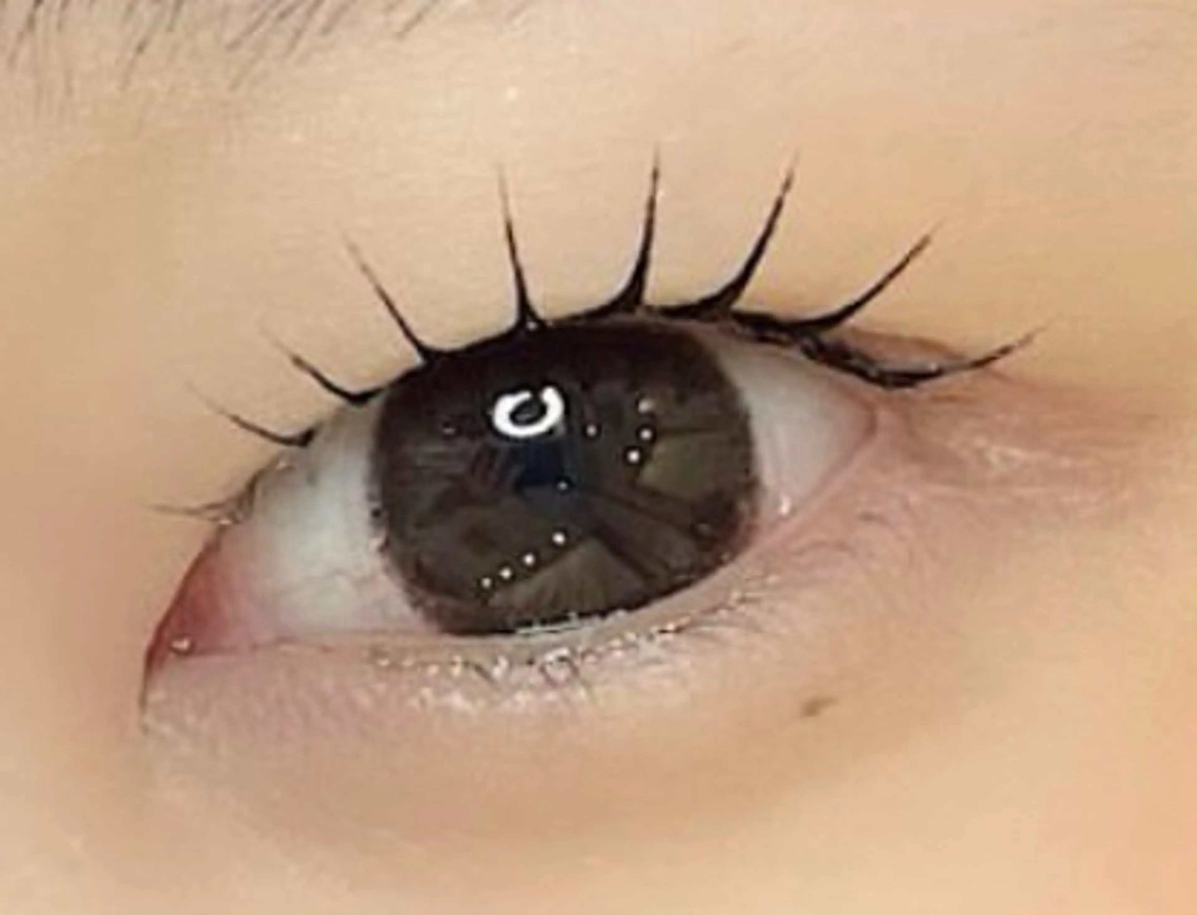 マツエク・マツパ Venus Beauty銀座のマツエク・マツパデザイン