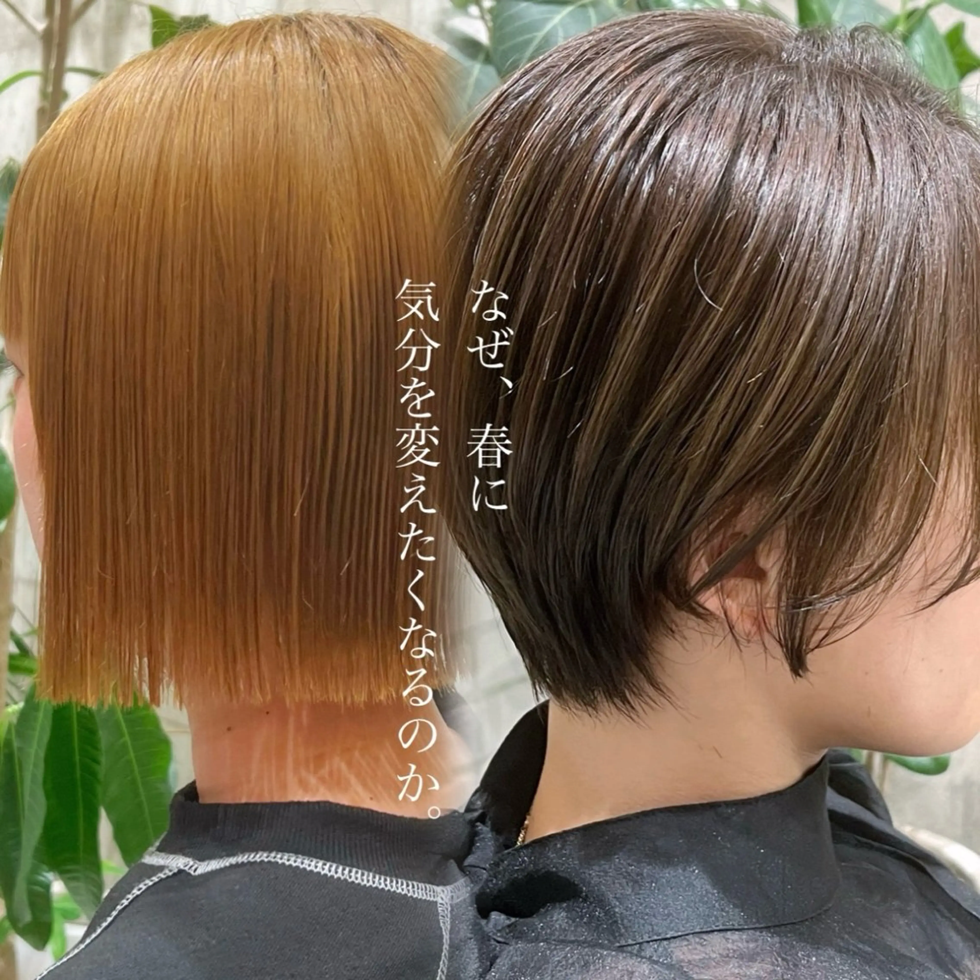 ショート レディースヘア💫 加藤たいが🐯のヘアスタイル