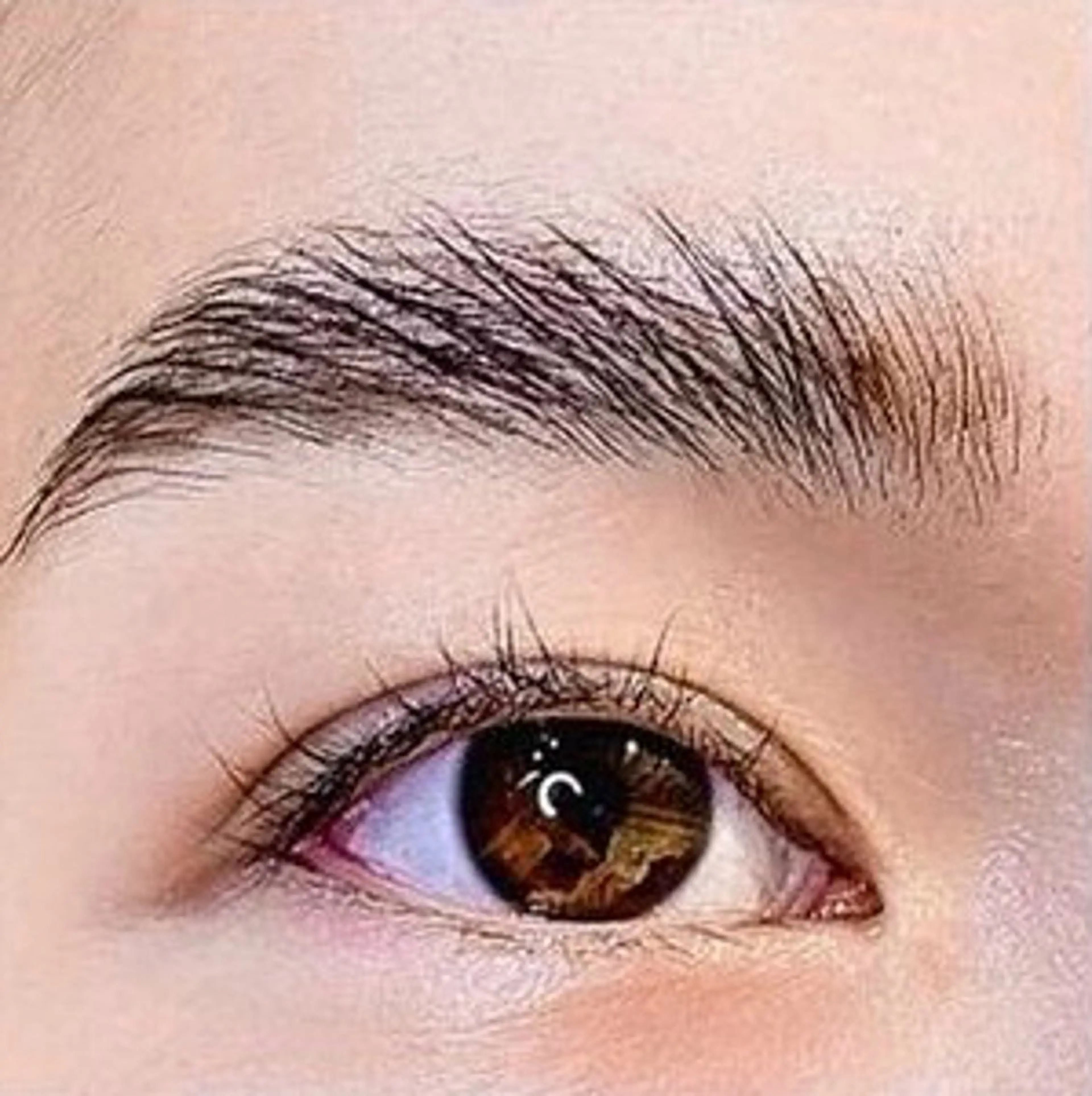 アイブロウ ワックス脱毛 その他(アイブロウ) 海外風まつげ眉毛 恵比寿｜masayoのマツエク・マツパデザイン