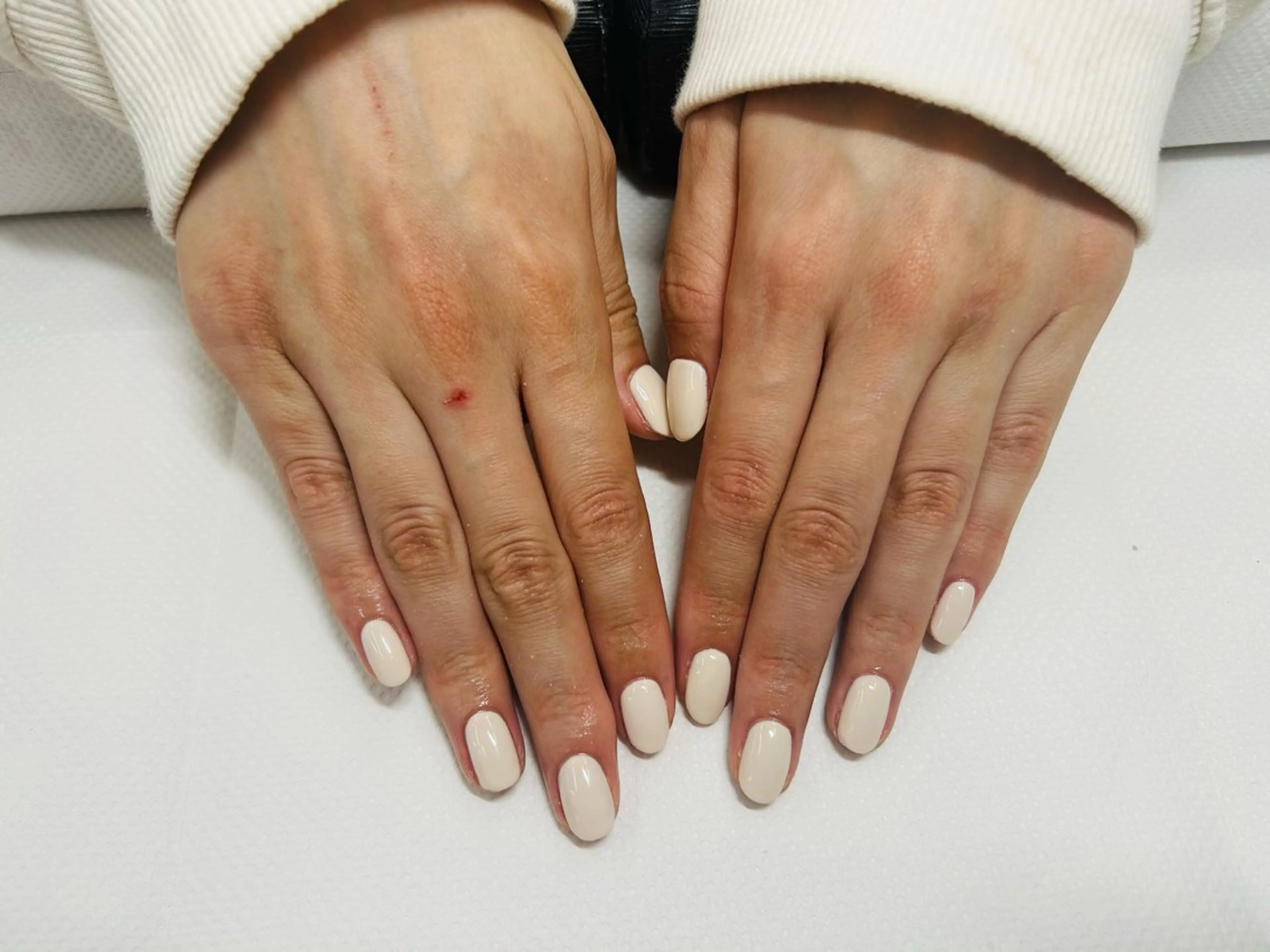 ハンド ワンカラー 【オフあり】の写真