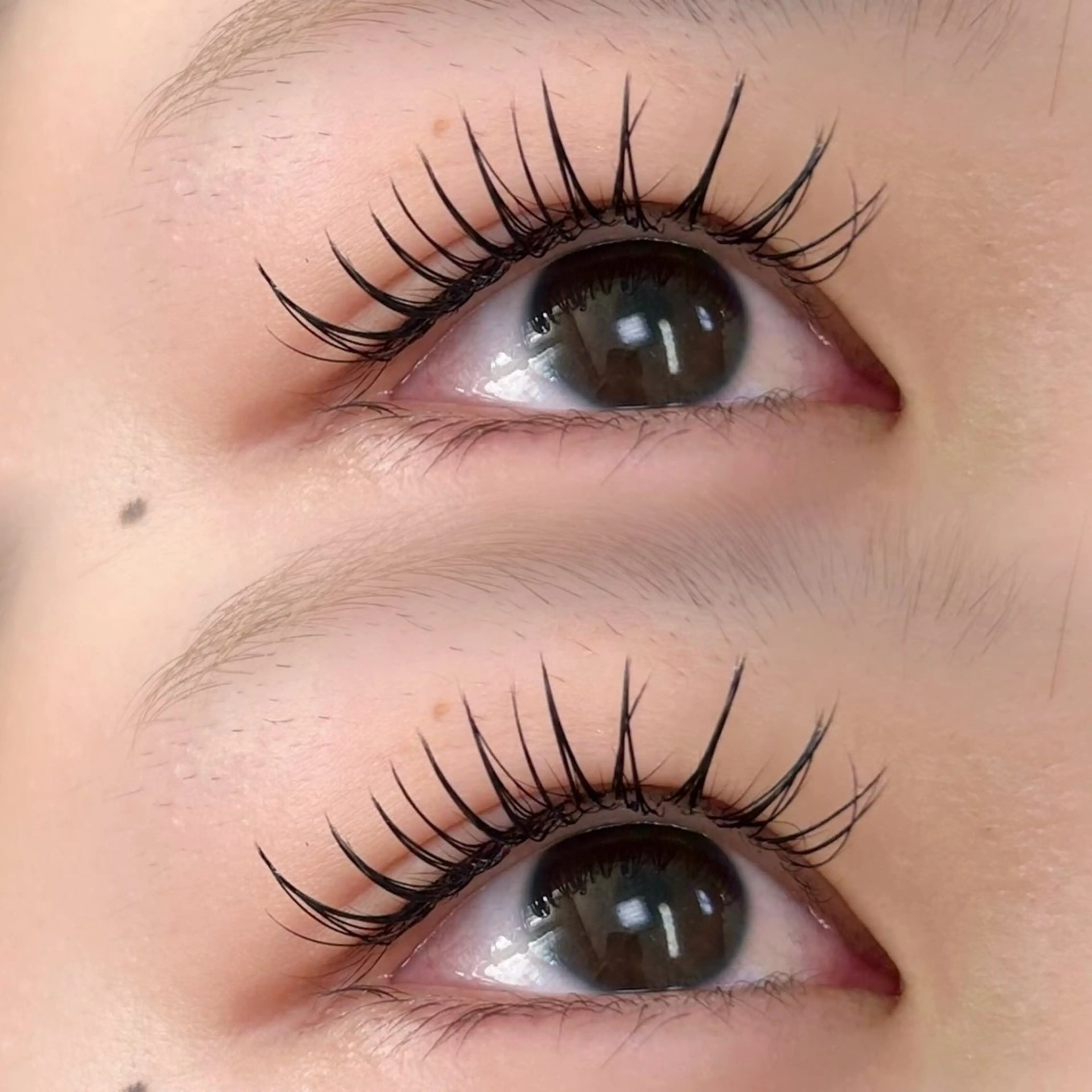 マツエク・マツパ Cカール une fleur URARAのその他イメージ