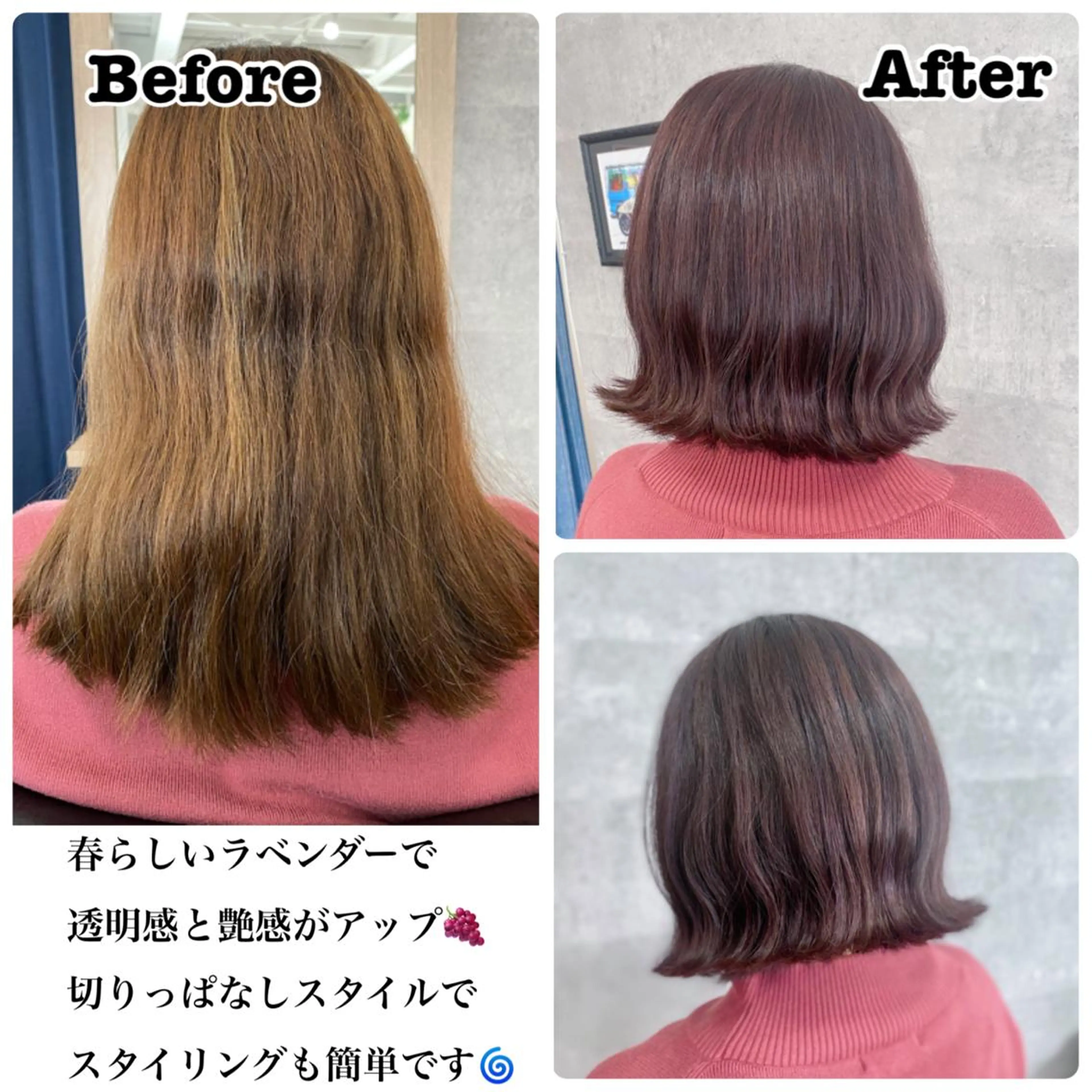 ミディアム ＳＨＩ ＺＵのヘアスタイル