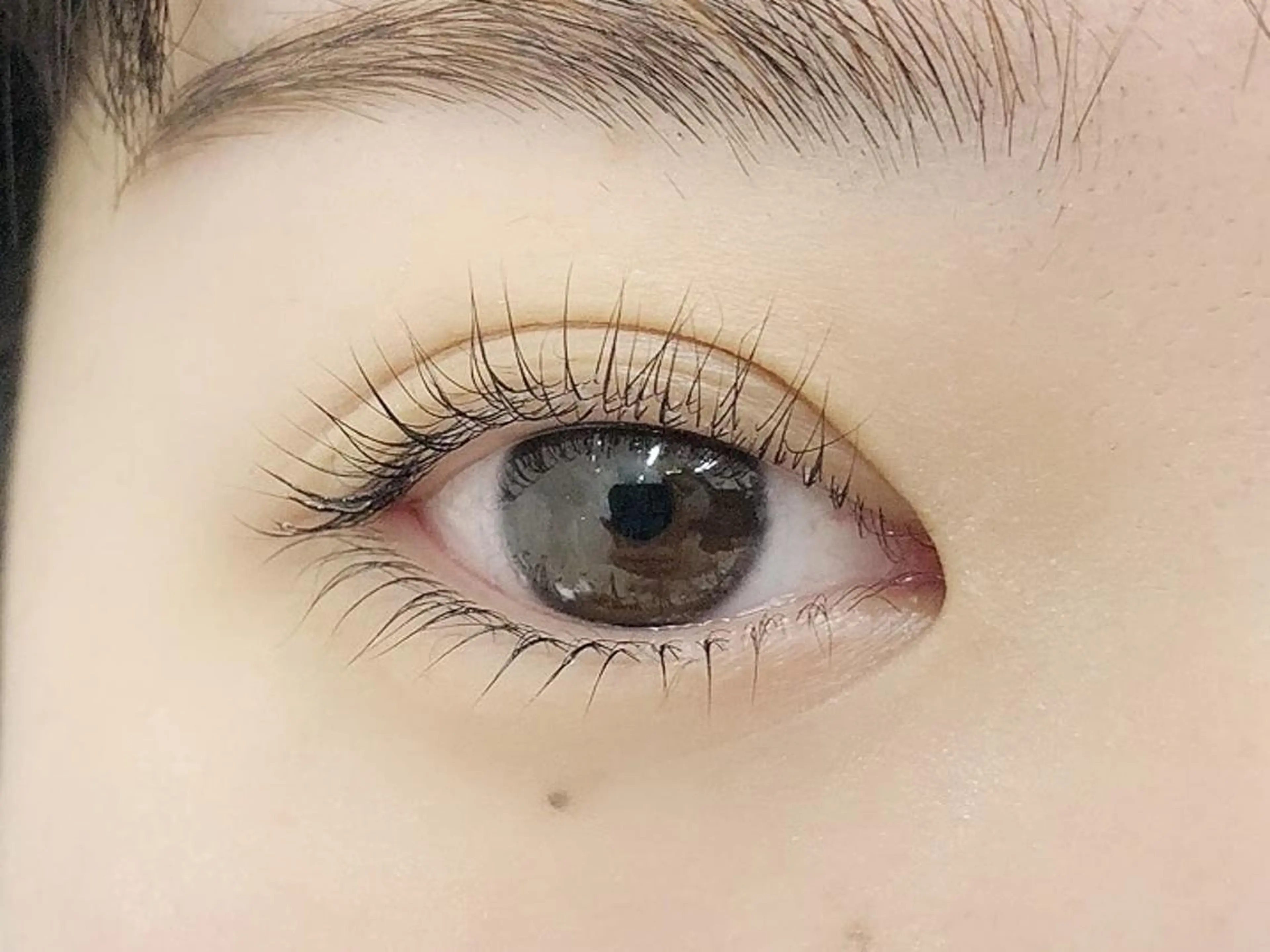 💫似合わせまつ毛パーマ上下👀💞　￥4,500の写真