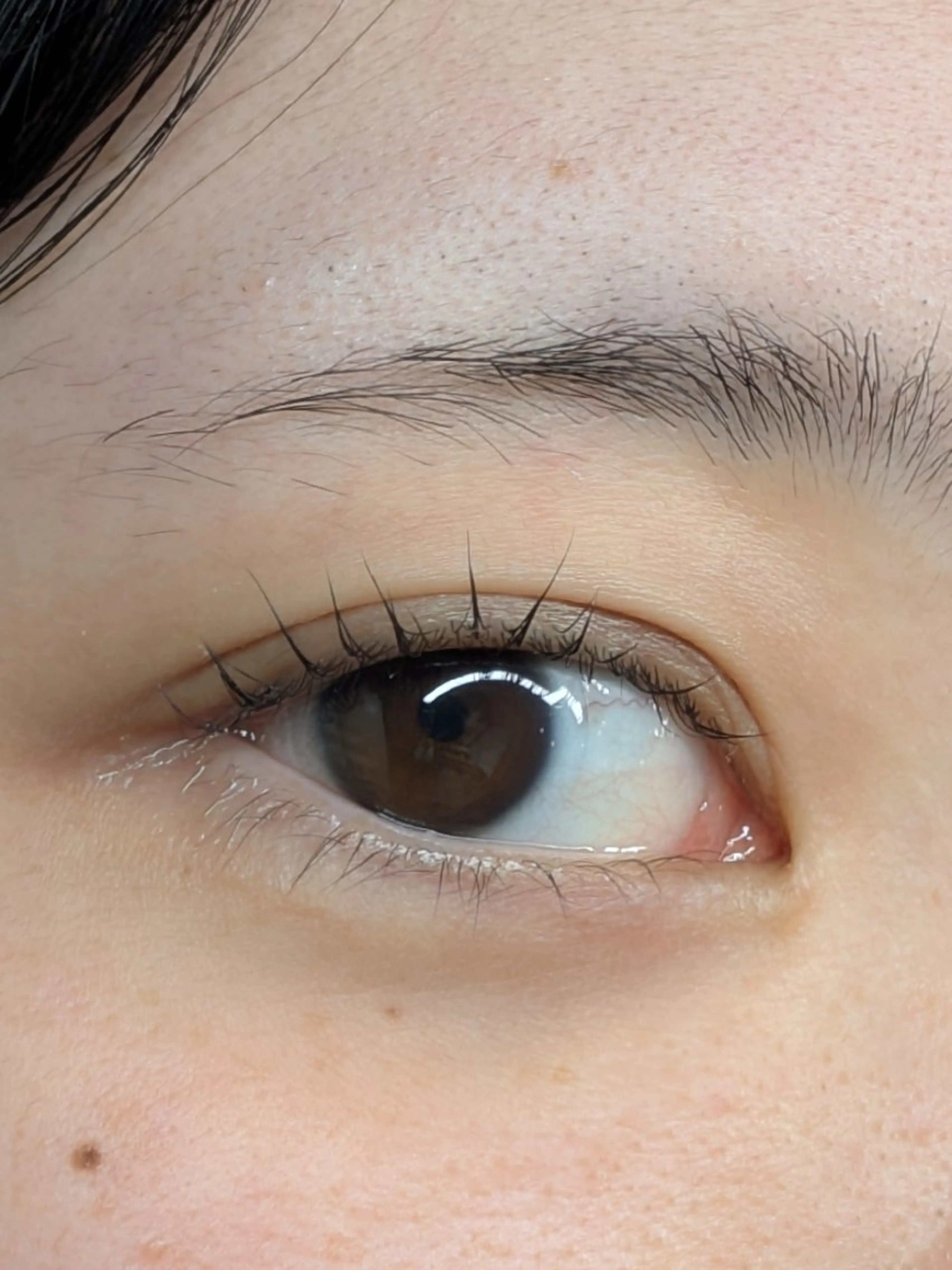 マツエク・マツパ パリジェンヌラッシュリフト まつげパーマ Sun Brown Ryu-gaのマツエク・マツパデザイン