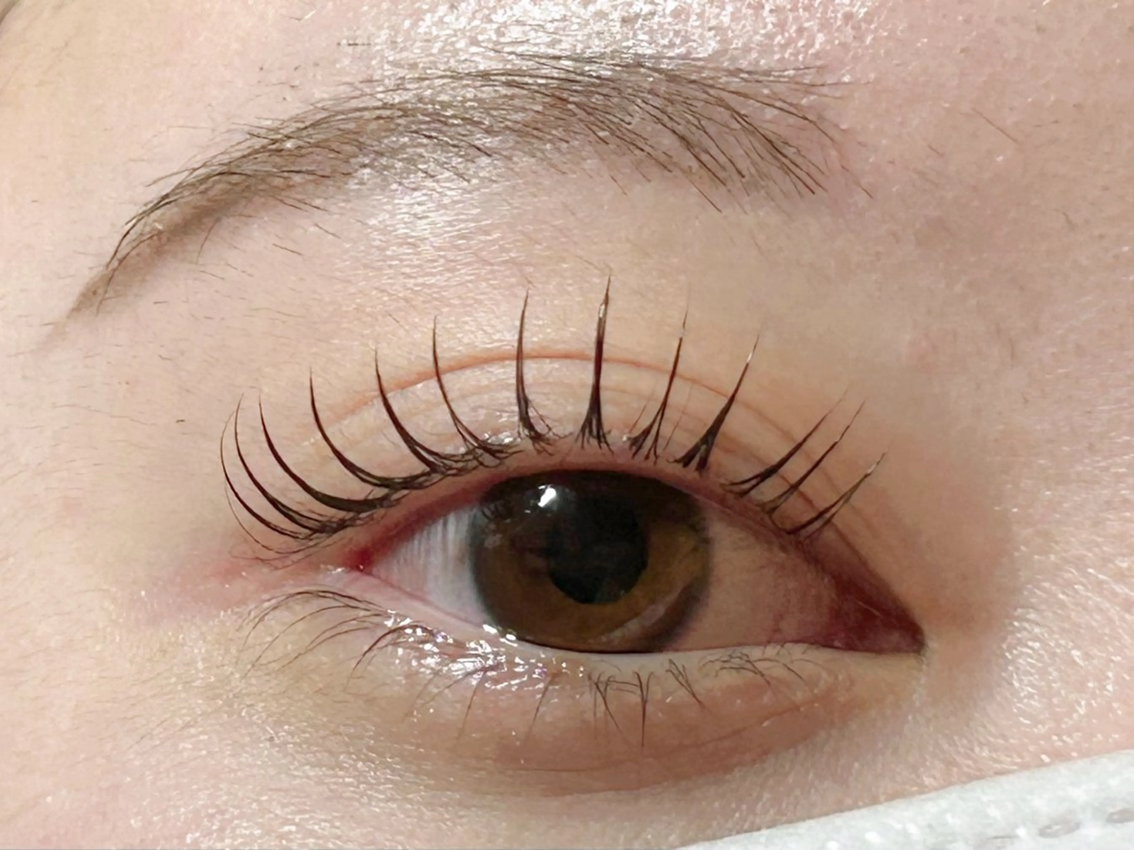 マツエク・マツパ Lino New Open 【リノ】 （リノ　ニューオープン）所属・【Lino】 nonokaのマツエク・マツパデザイン