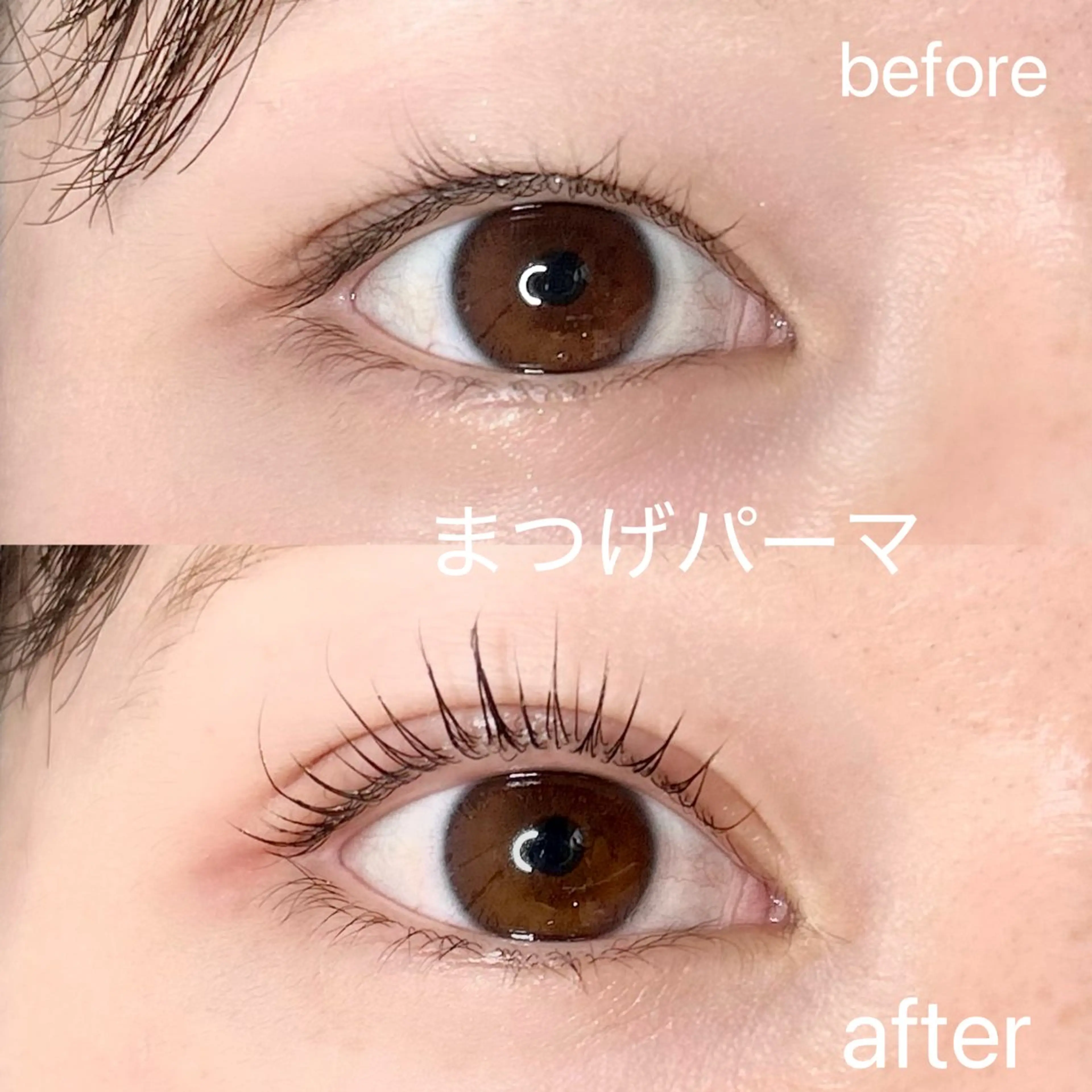 マツエク・マツパ まつげパーマ マツパ elua eyelashの眉毛・アイブロウイメージ