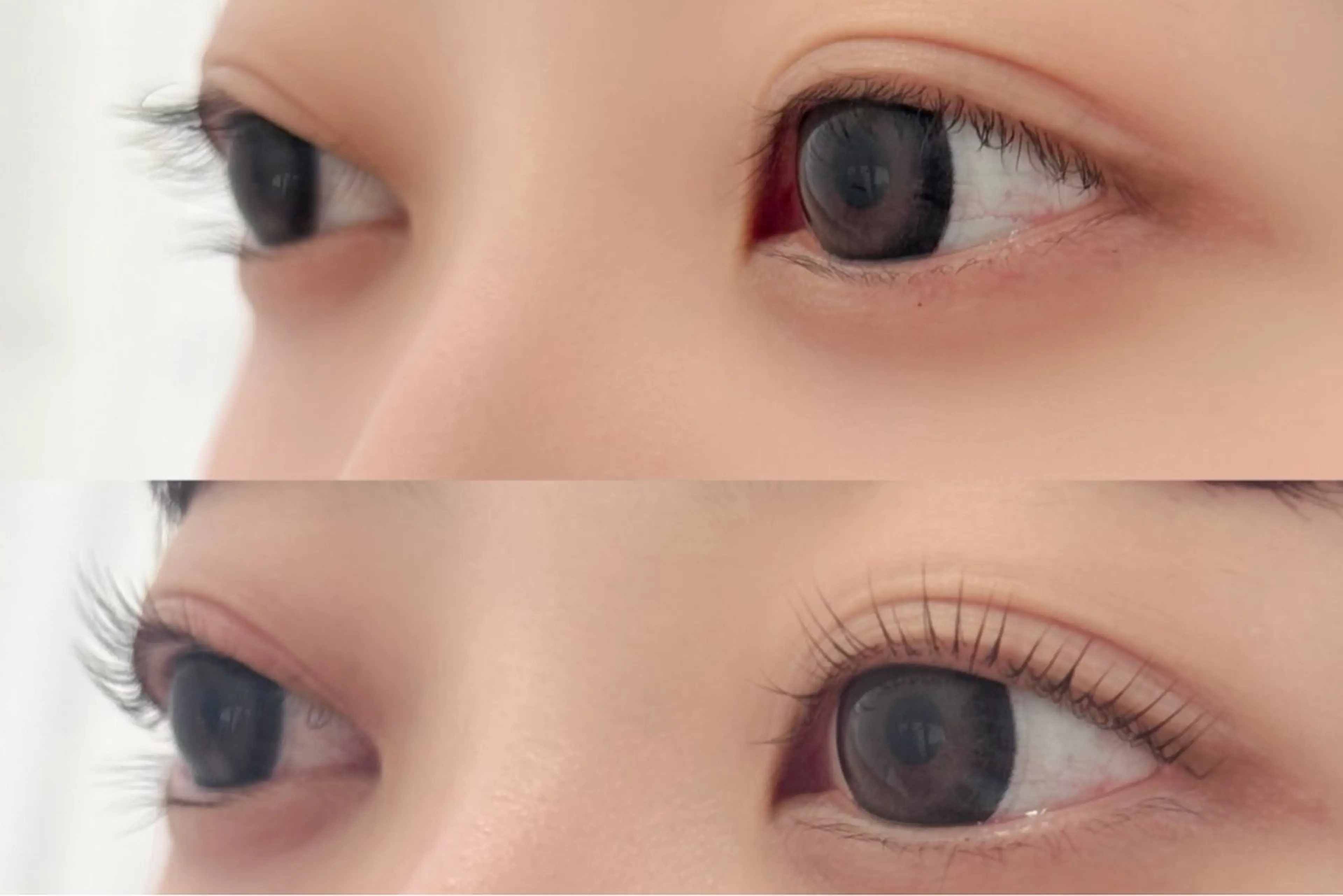 マツエク・マツパ 🧸Lily船橋 石川🌿のマツエク・マツパデザイン