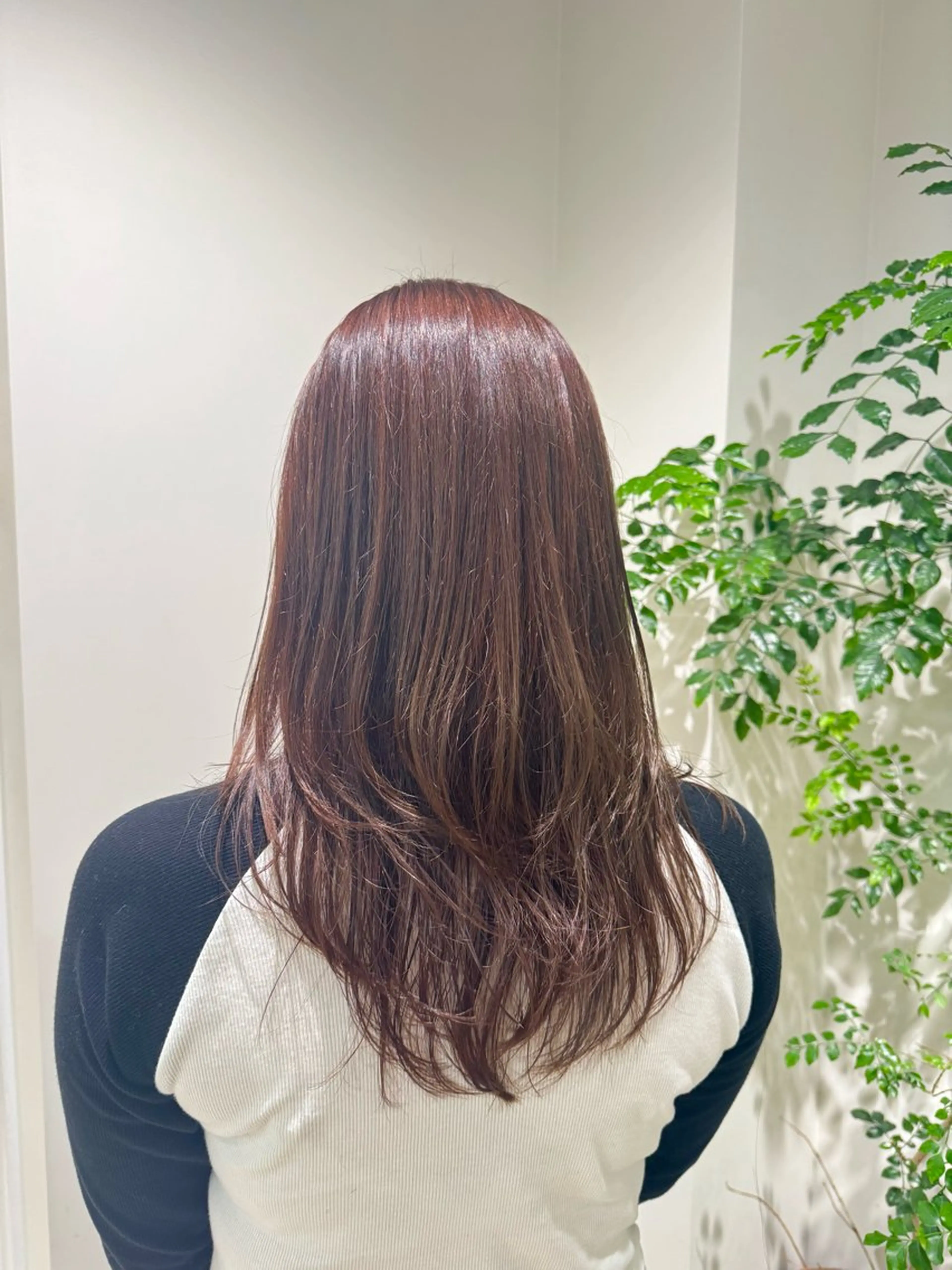 カラー かねこ くれはのヘアスタイル