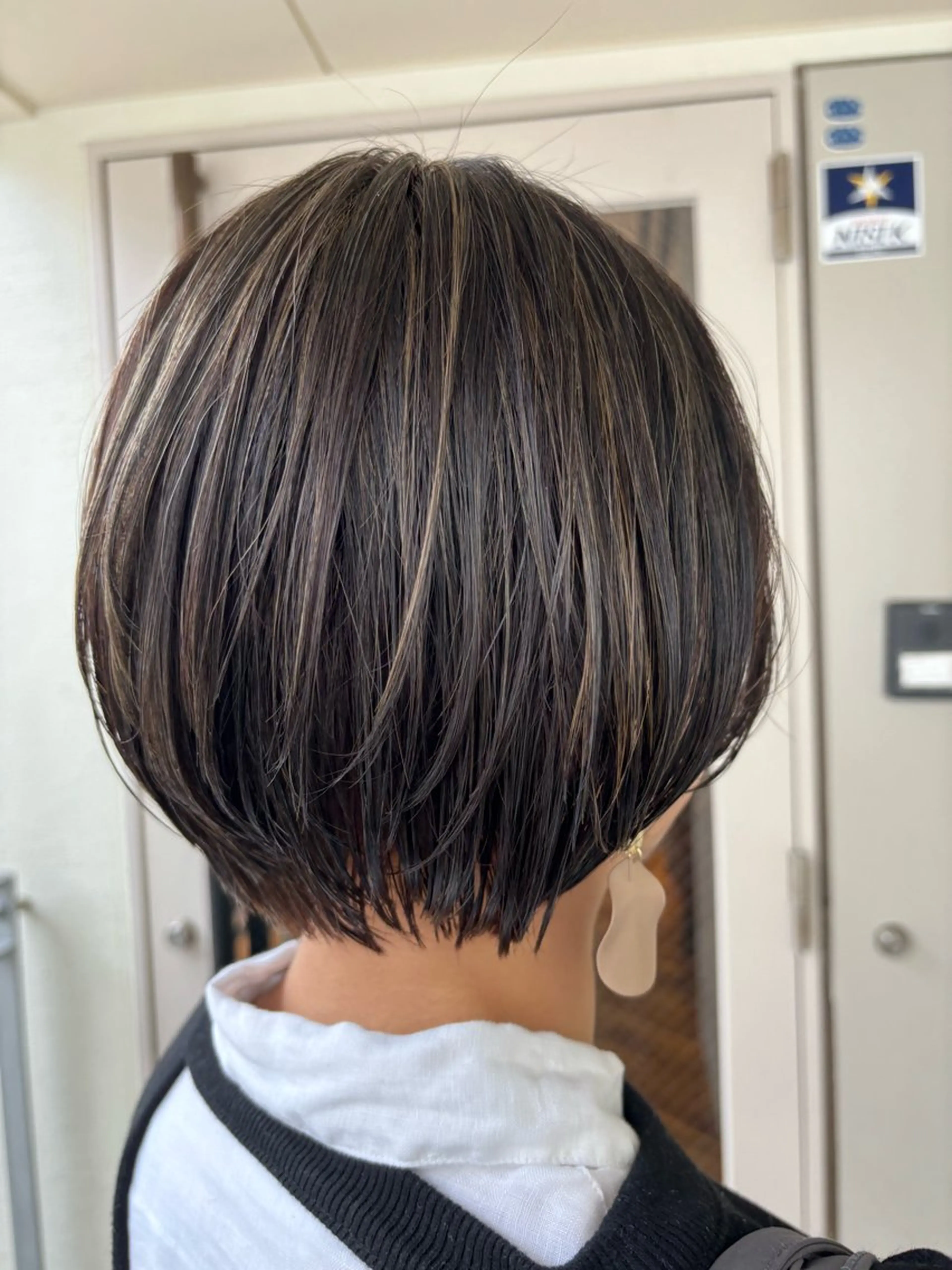 ショート カラー 透明感カラー ダブルカラー ハイライトカラー イルミナカラー インナーカラー カット ヘアカラー トリートメント misa🫧ナチュラ ル縮毛矯正/髪質改善のヘアスタイル