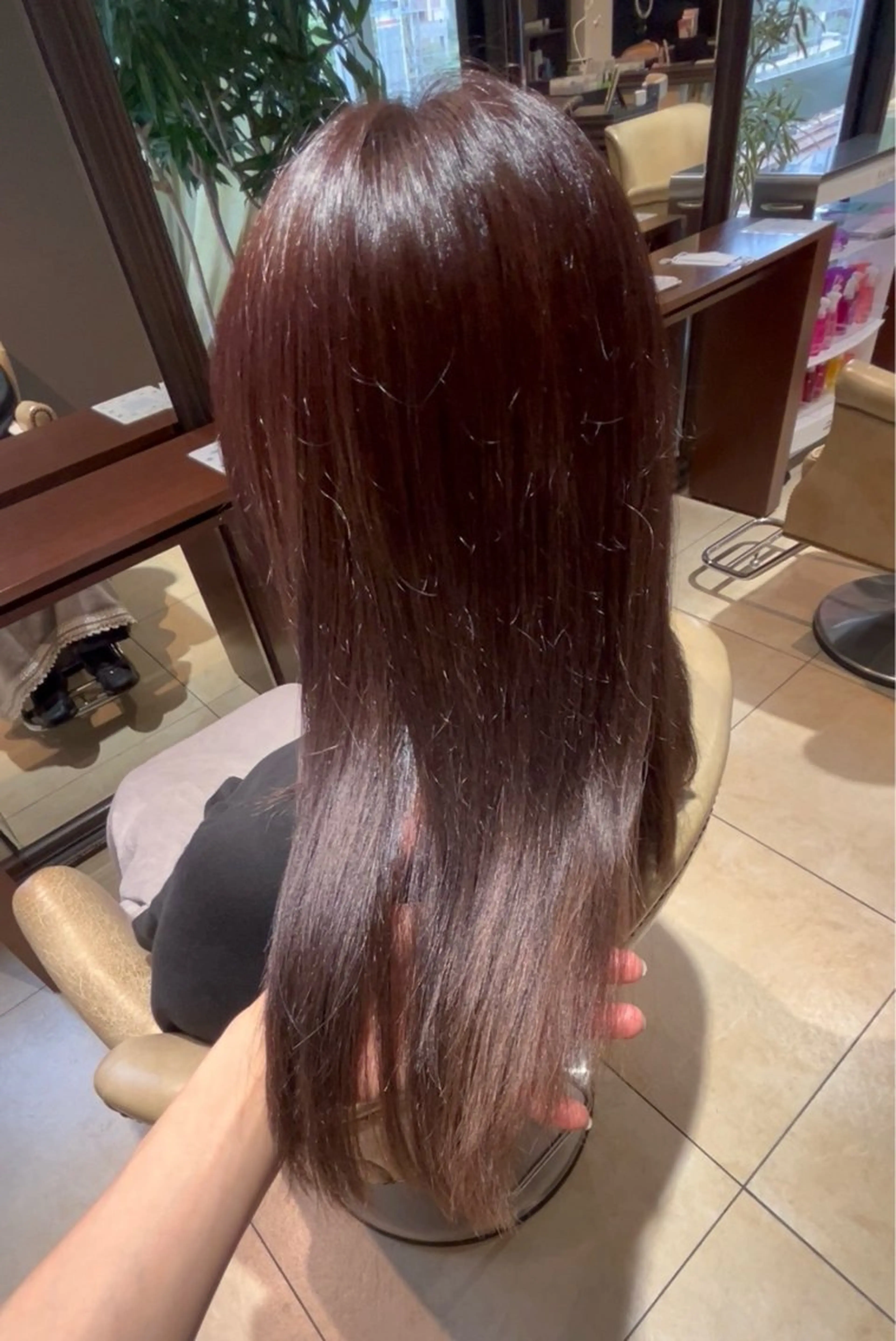 セミロング カラー パープルカラー Alegria アレグリアのヘアスタイル