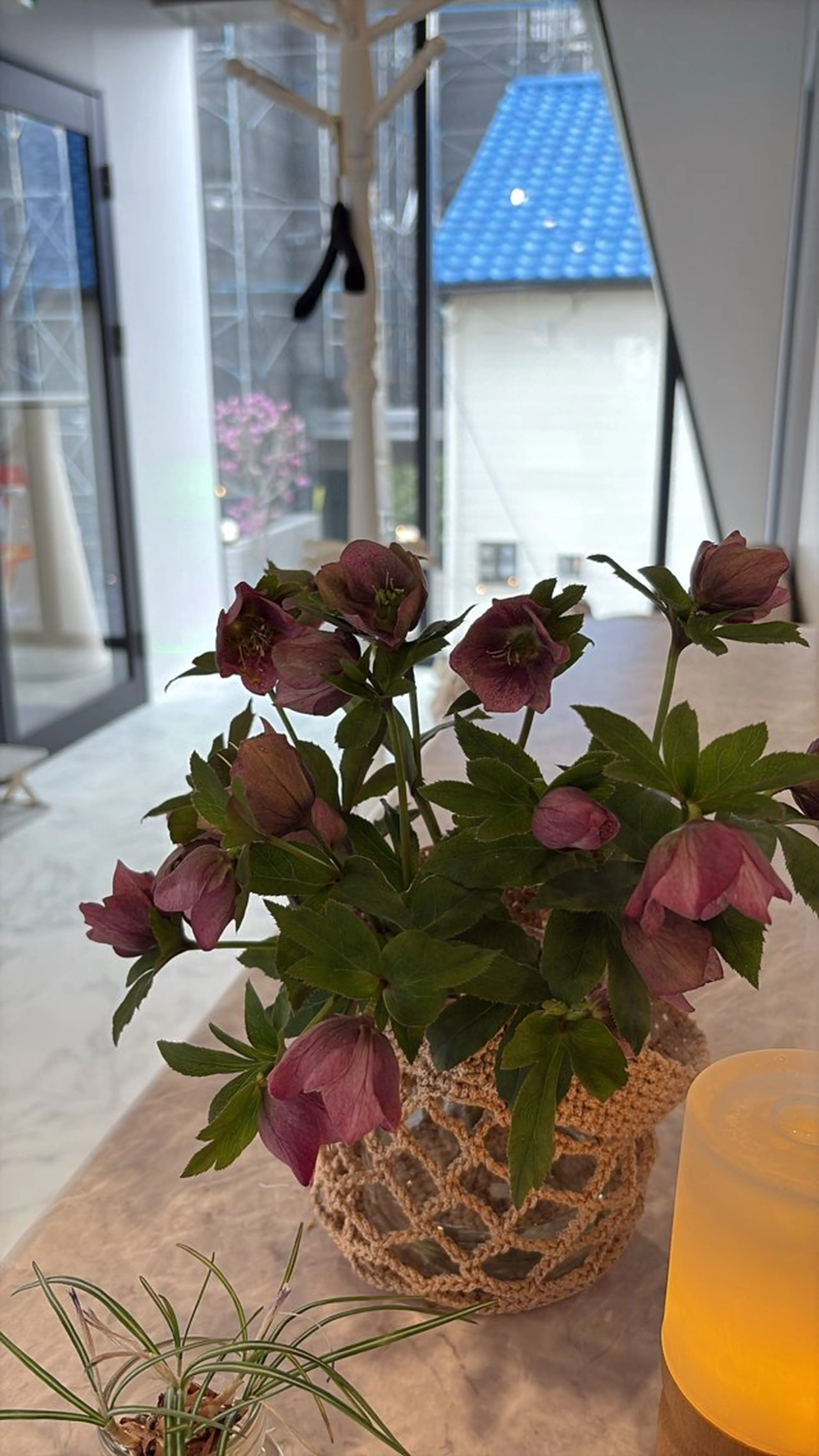 西大分S.Nail 𓏲⋆🪸.⋆⸜🫧のネイルデザイン