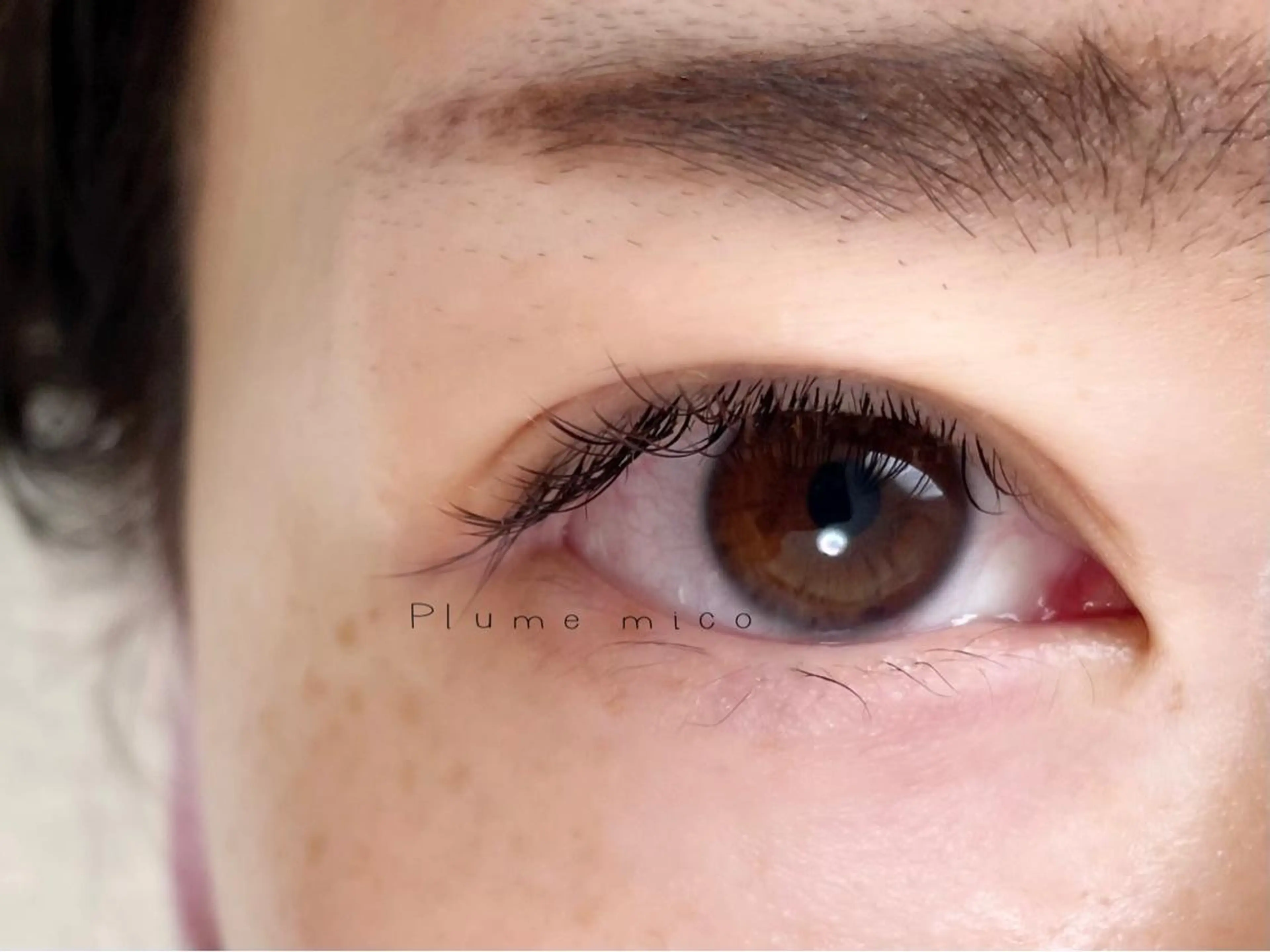 マツエク・マツパ マツエク Plume micoのマツエク・マツパデザイン