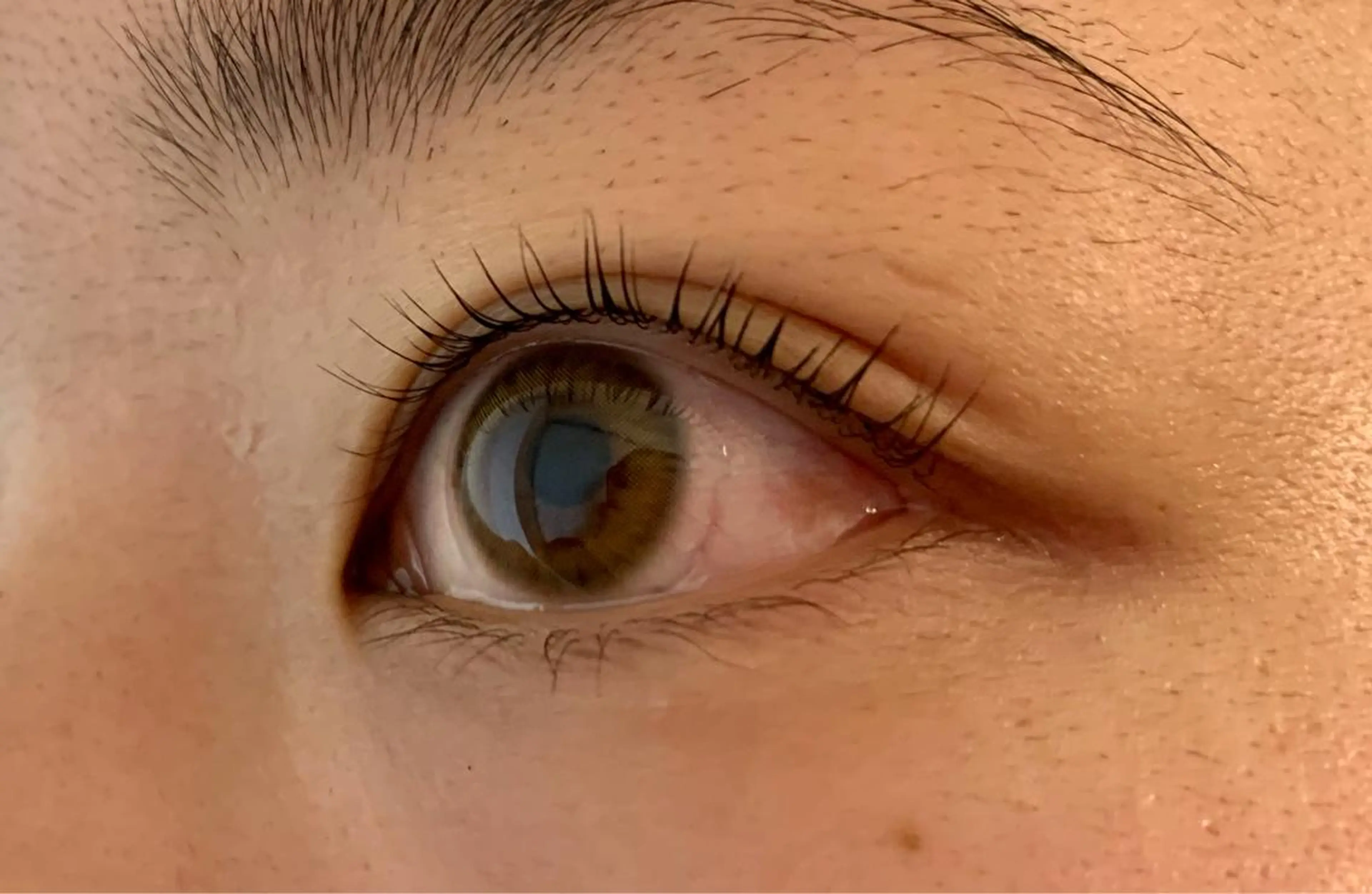 マツエク・マツパ パリジェンヌラッシュリフト Fairytail excellentのマツエク・マツパデザイン