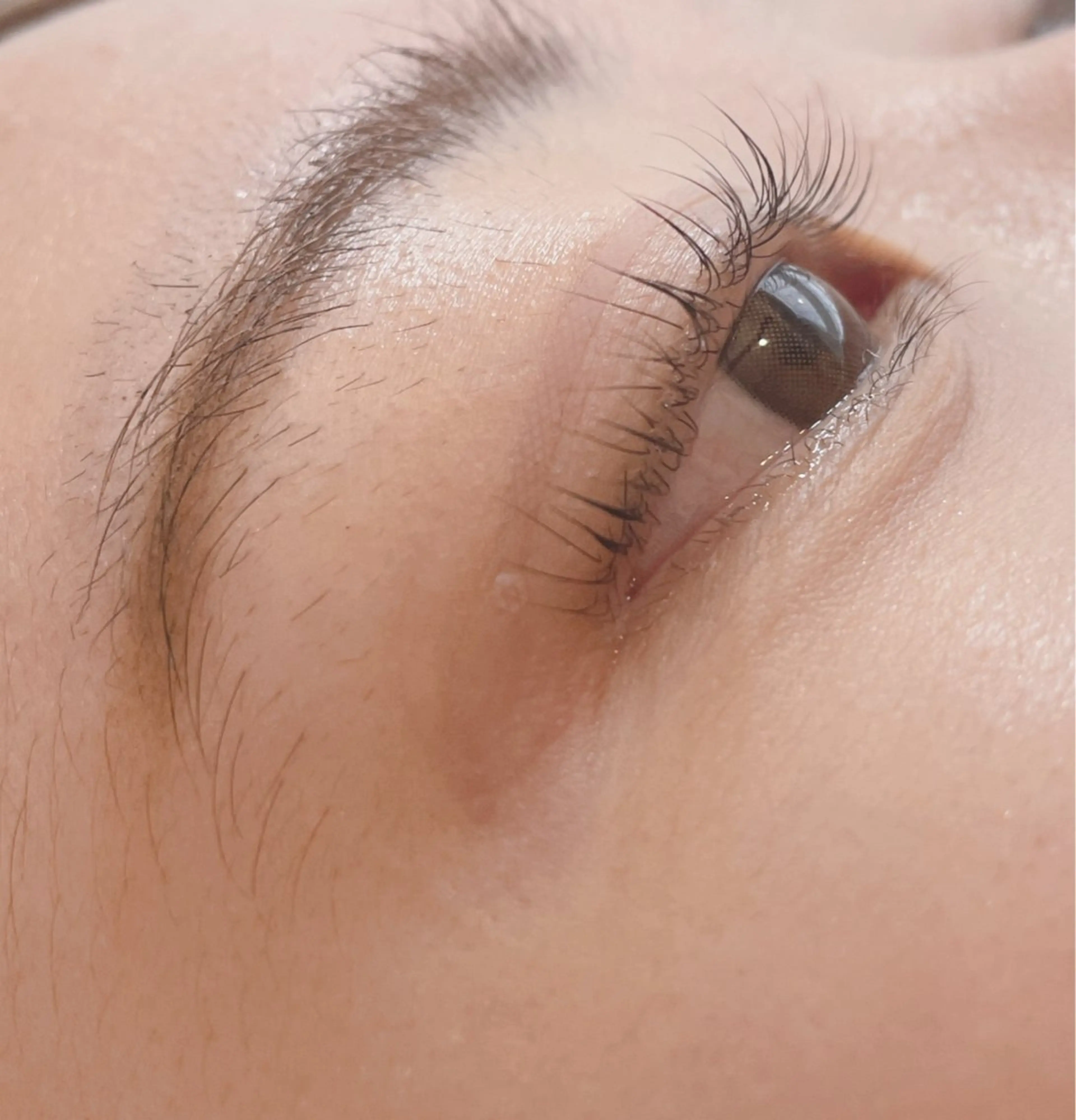 マツエク・マツパ パリジェンヌラッシュリフト Lokelani HAYASHIのマツエク・マツパデザイン