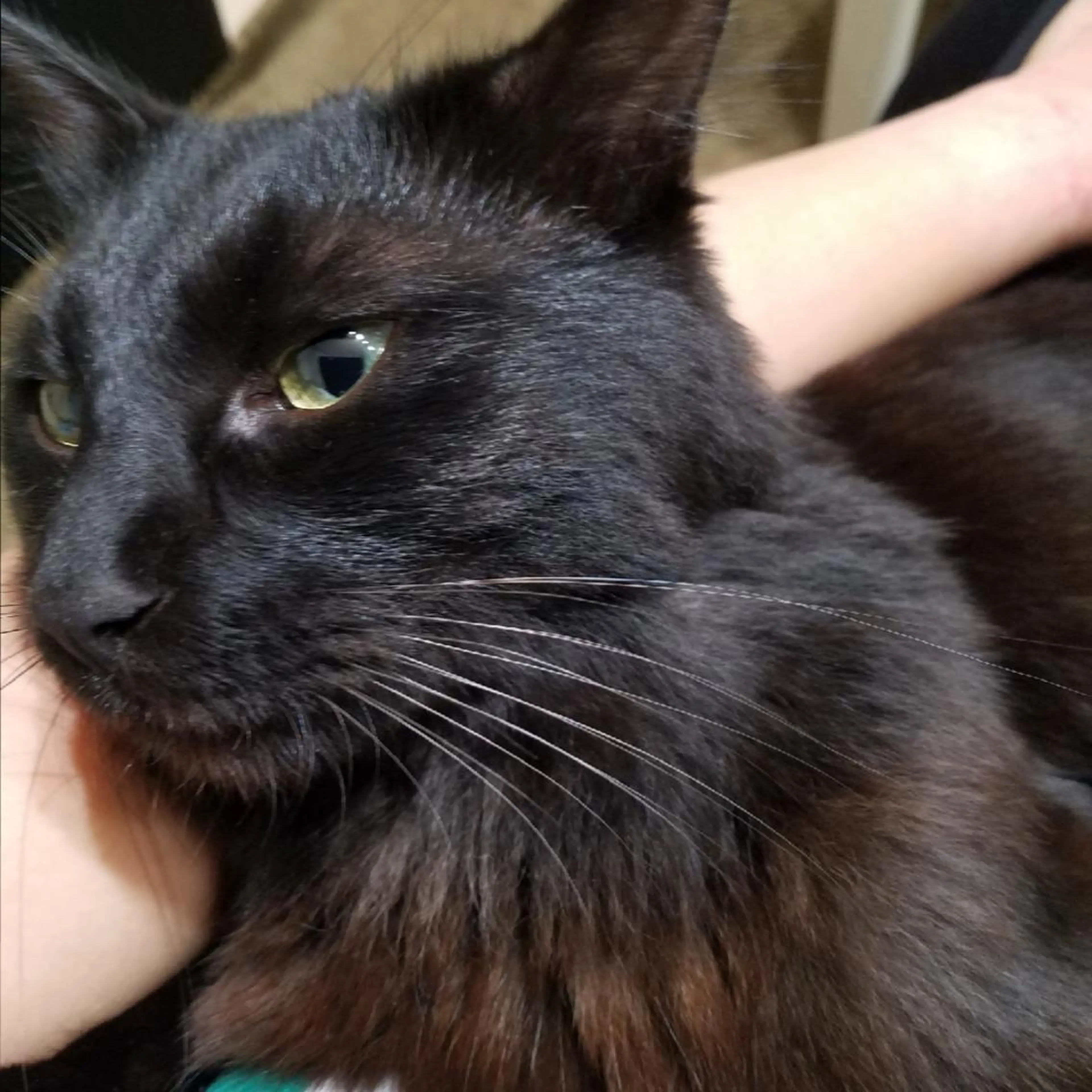 麻里 杏彩のヘアスタイル