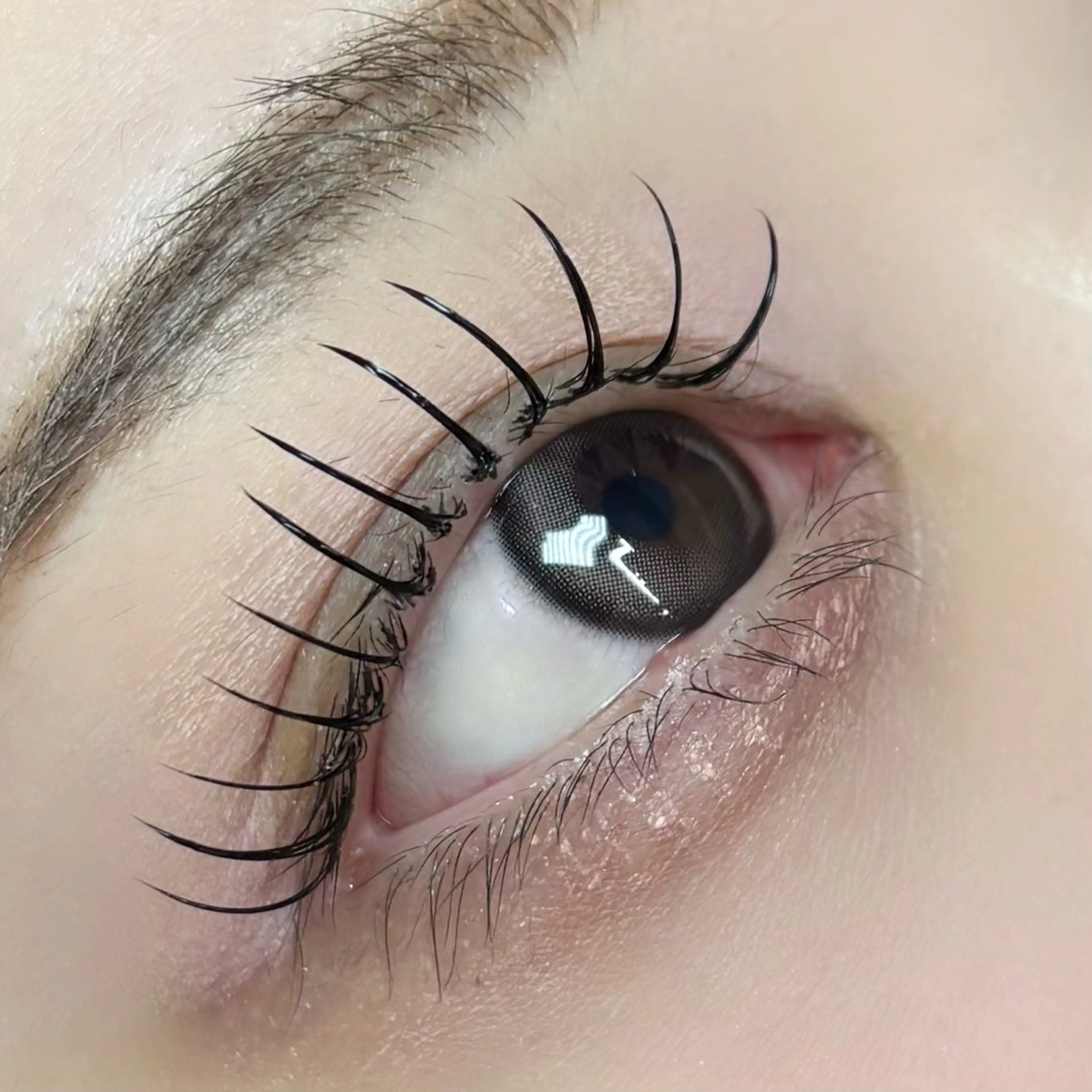 マツエク・マツパ マツエク Seek🎀 Aoiのヘアスタイル