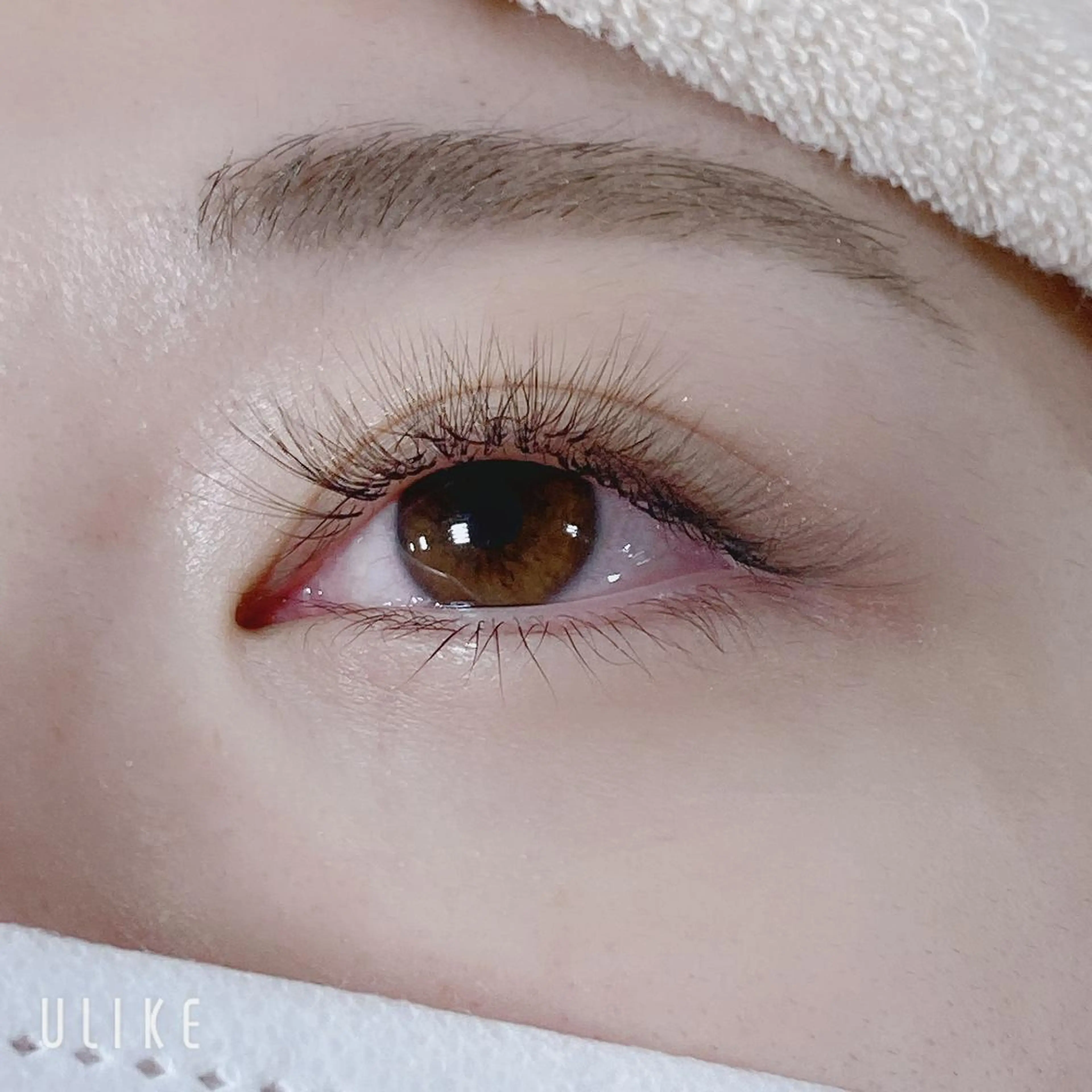 🕊ご新規様限定🕊🤍ボリュームラッシュ🤍上100束(300本)🦚の写真