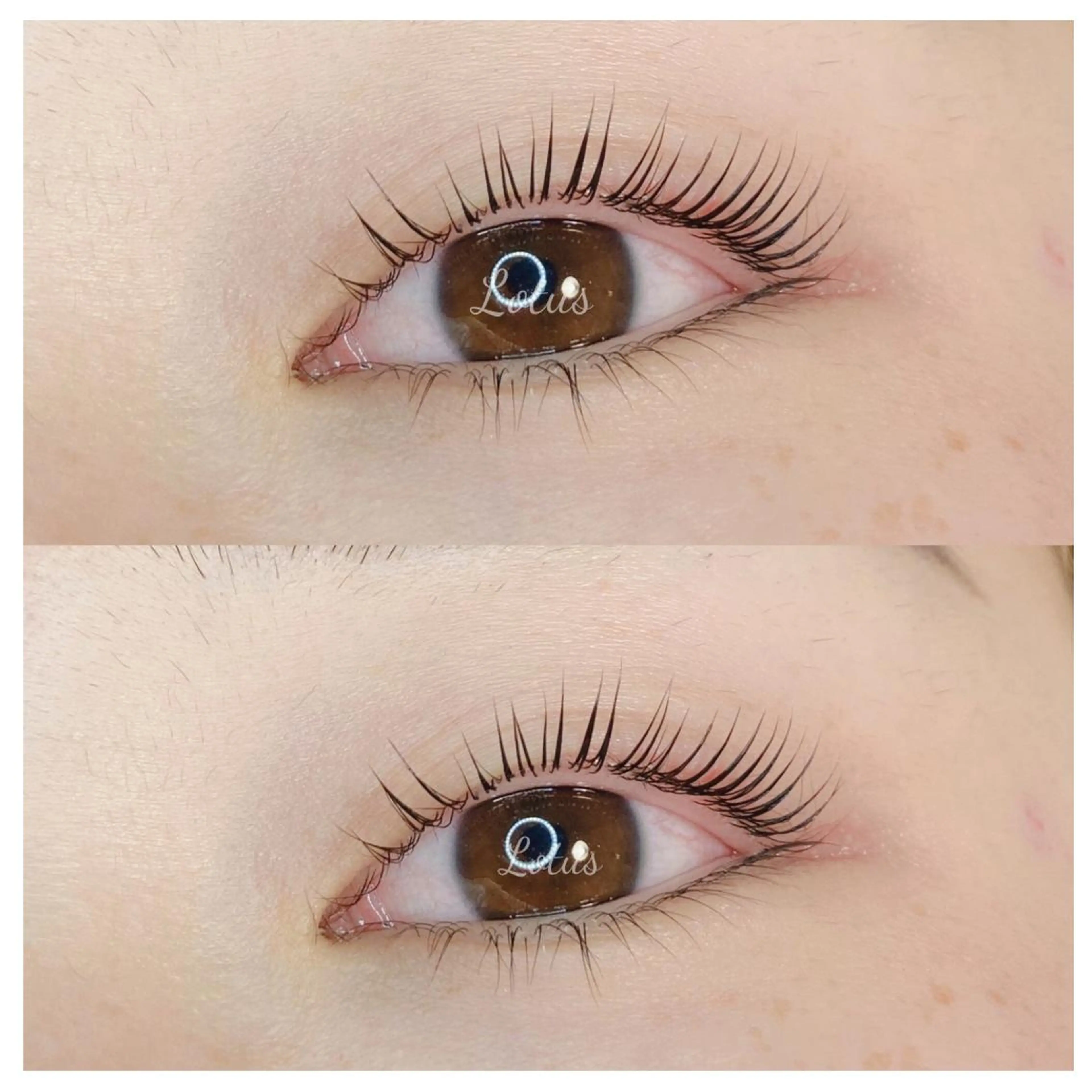 マツエク・マツパ マツパ Lotus所属・Lotus ロータスのマツエク・マツパデザイン