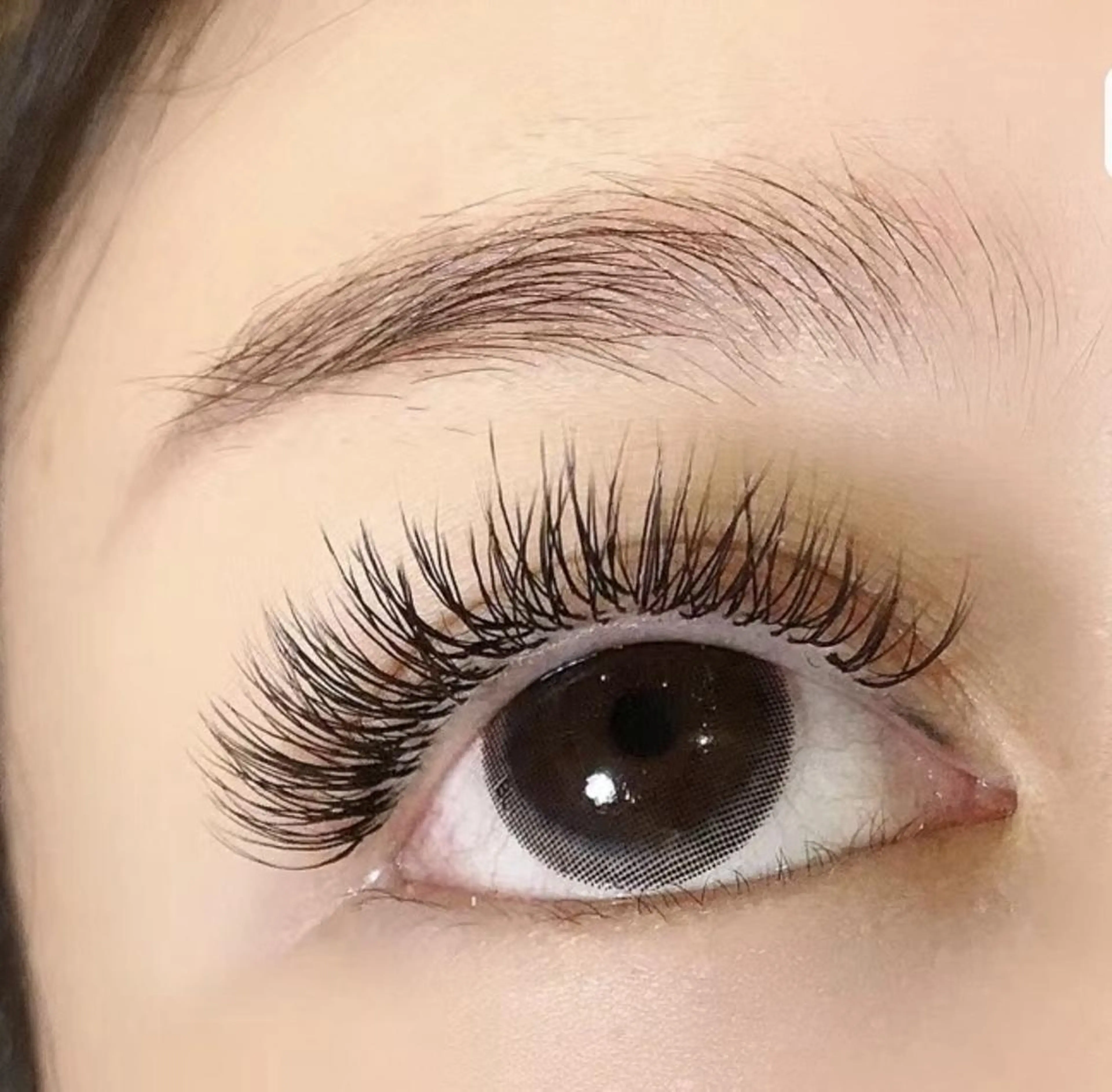 【オフ無料★圧倒的持続】バインドロッ 夕60束4800円の写真