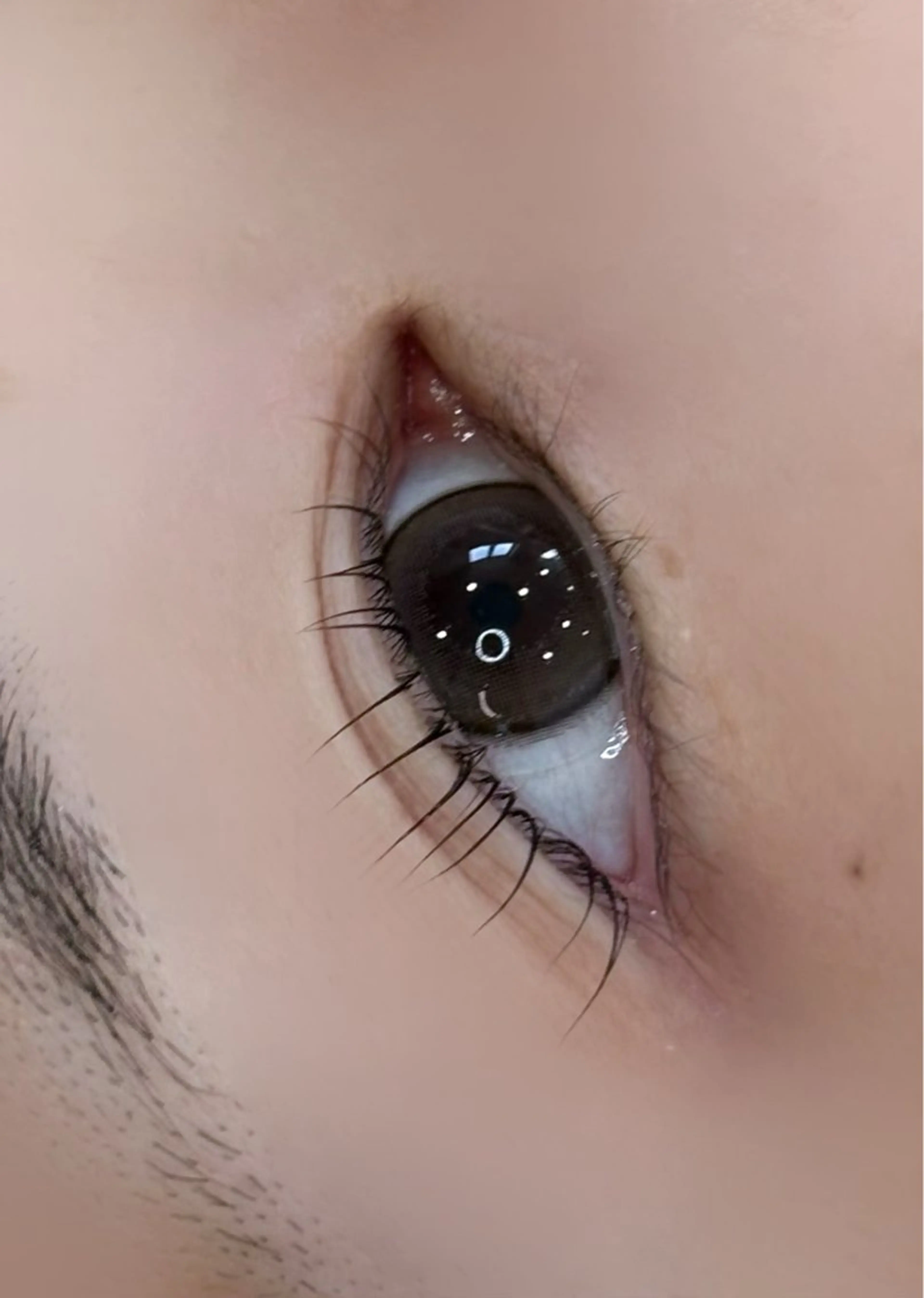 マツエク・マツパ Charmoi 枚方 Yuukiのマツエク・マツパデザイン